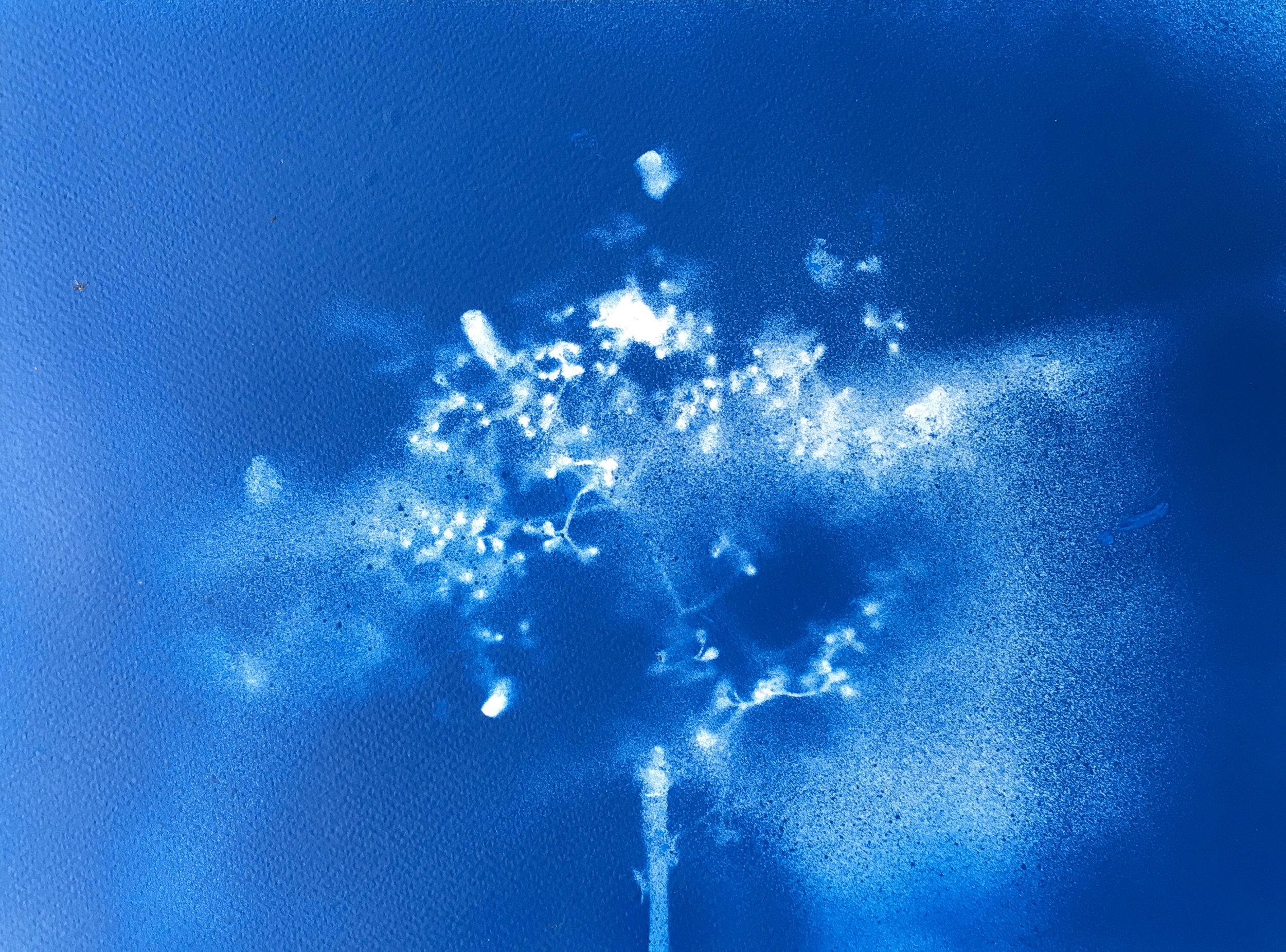 Title: Blue 8. Medium: Spray Paint. Size: 300mx260m