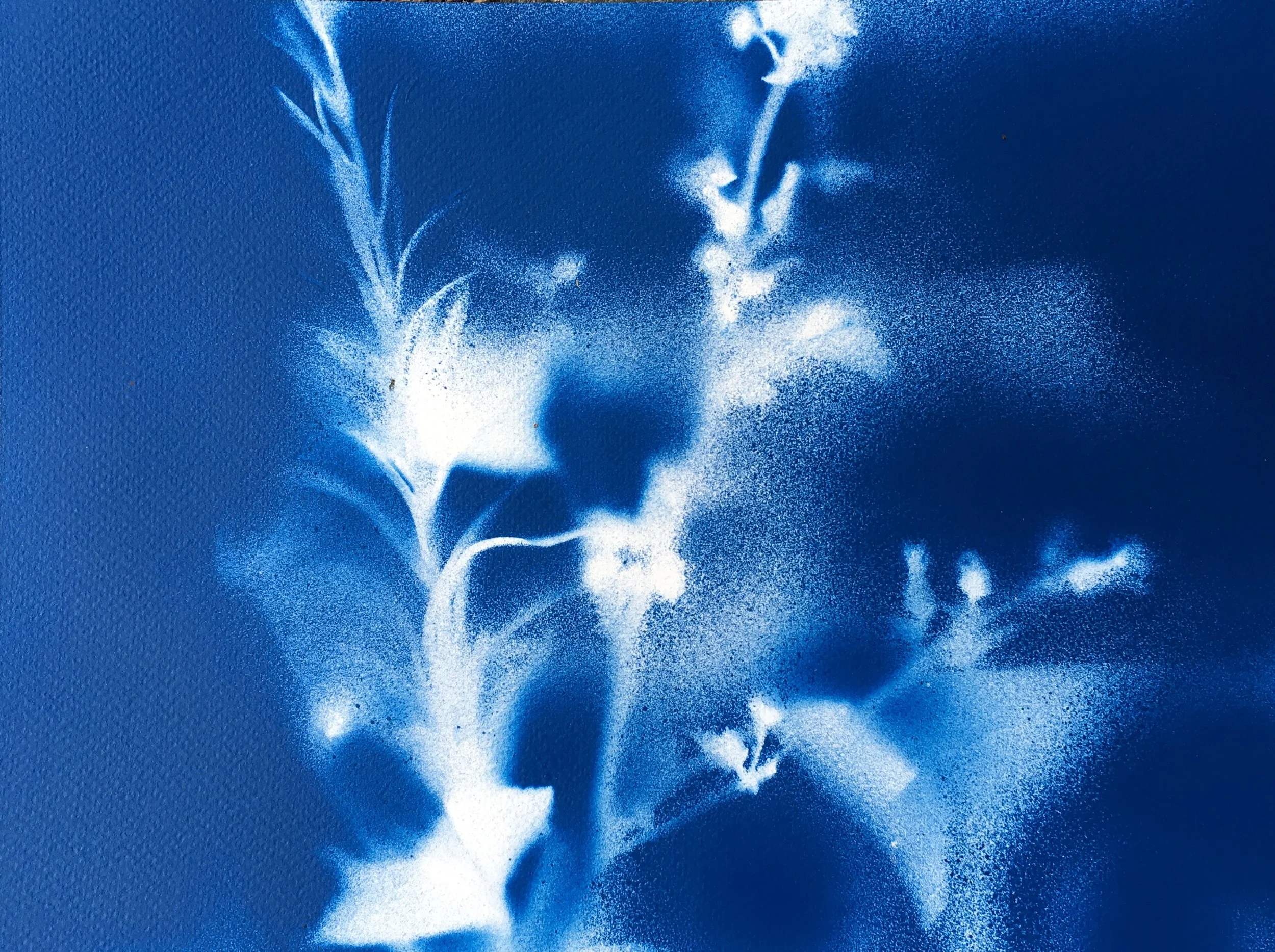 Title: Blue G. Medium: Spray Paint. Size: 300mx260m