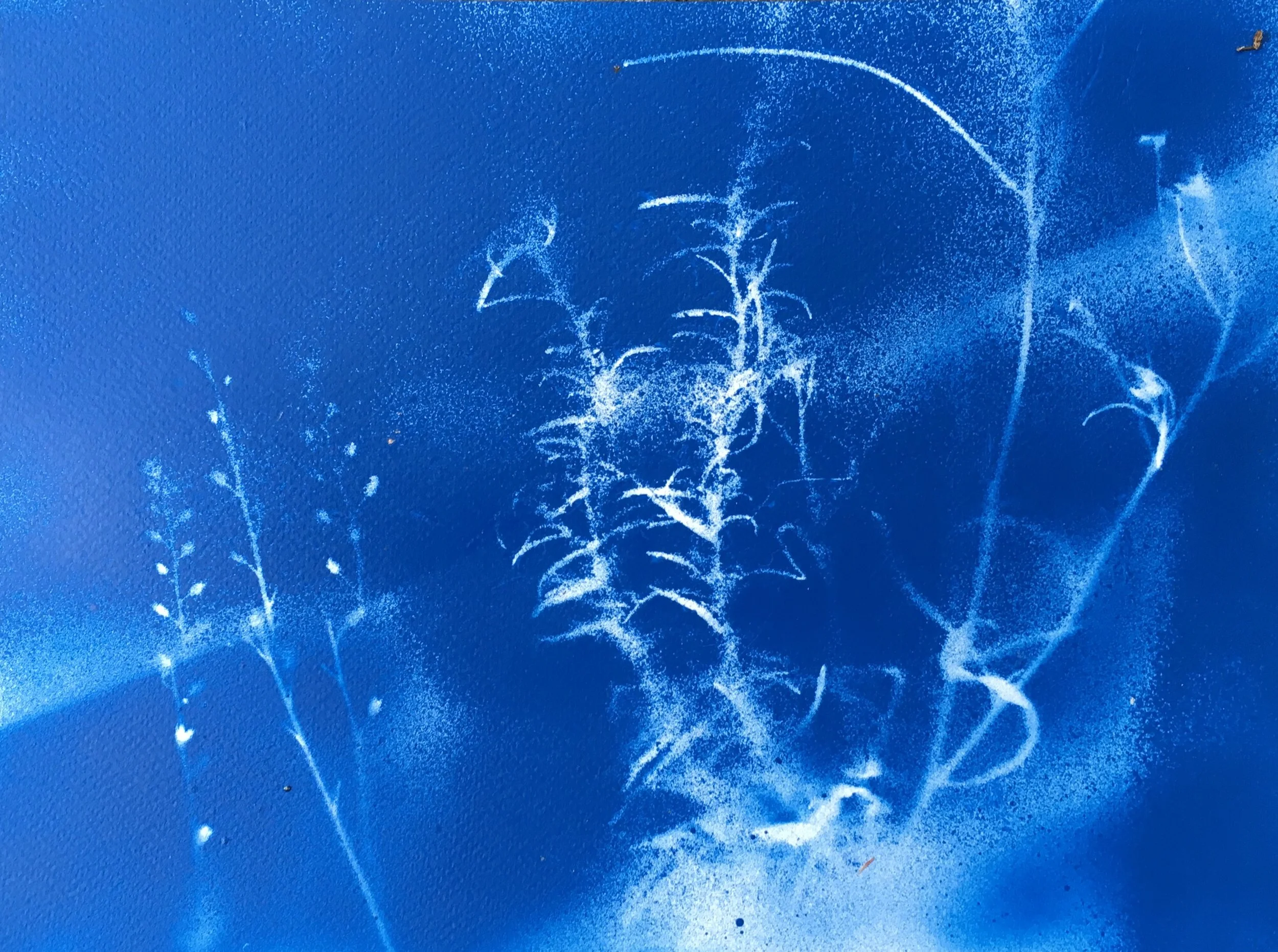 Title: Blue 6. Medium: Spray Paint. Size: 300mx260m