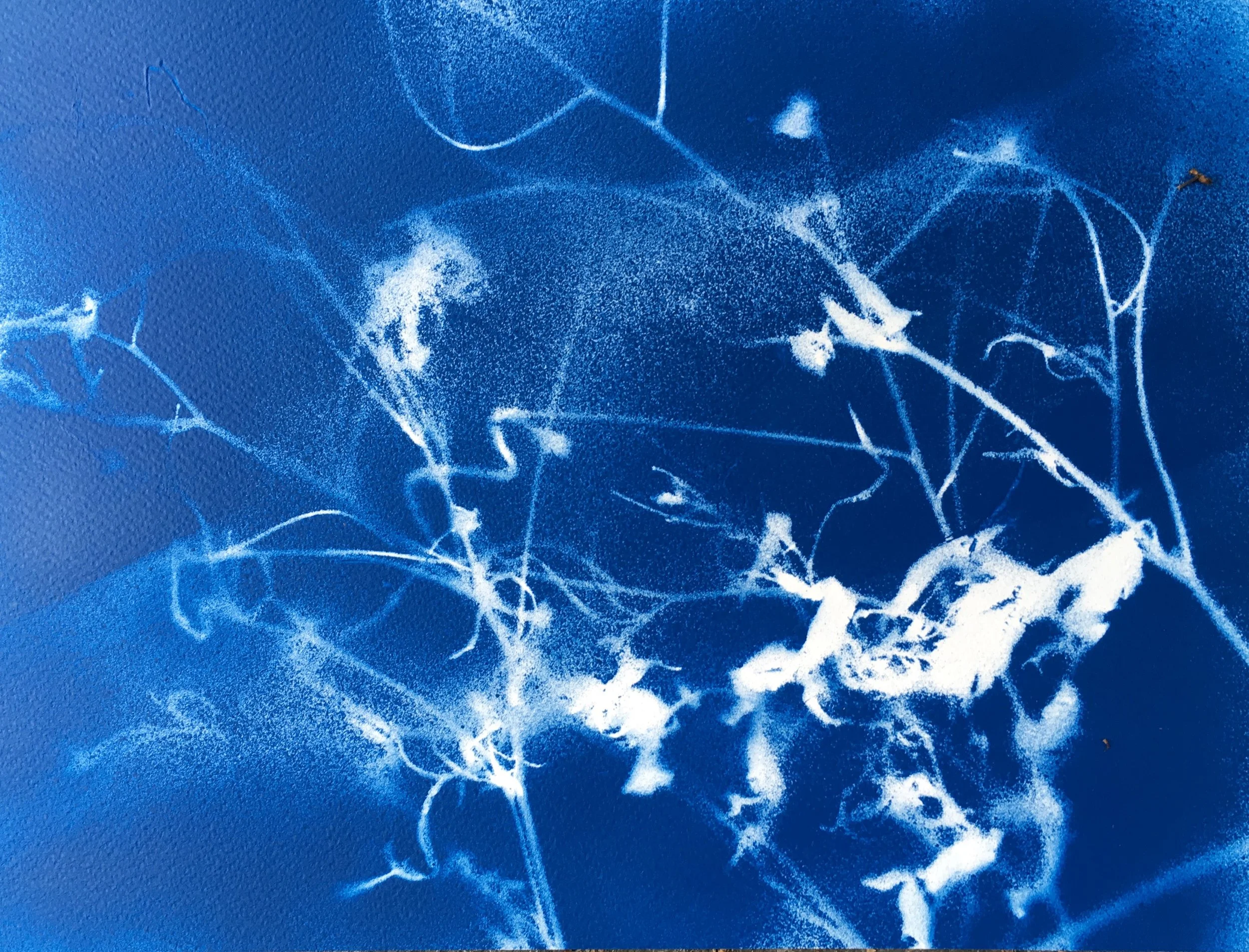 Title: Blue 4. Medium: Spray Paint. Size: 300mx260m