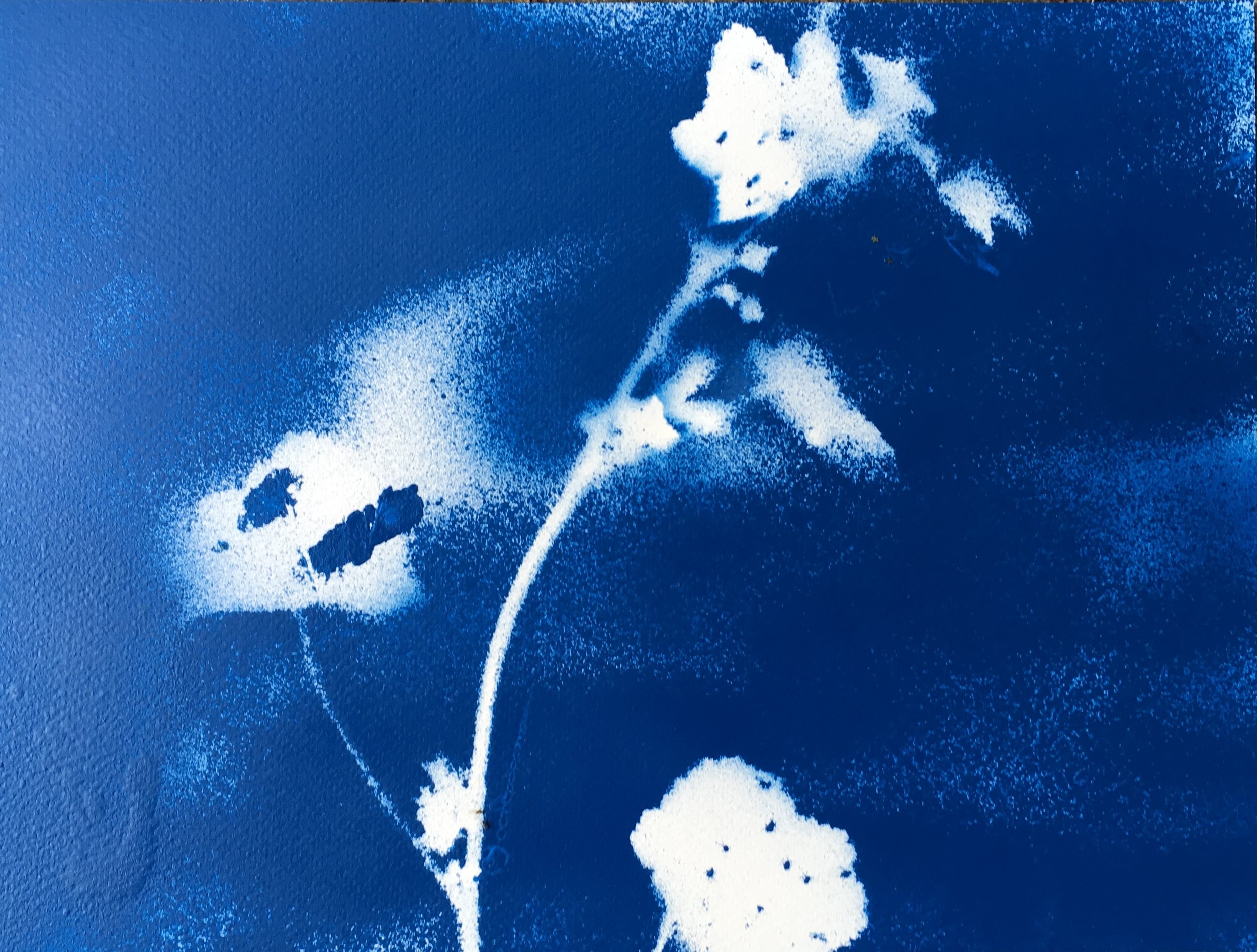Title: Blue 2. Medium: Spray Paint. Size: 300mx260m