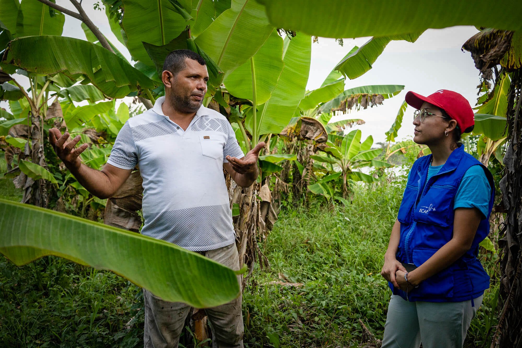 Community Peacemaker Teams in Colombia 