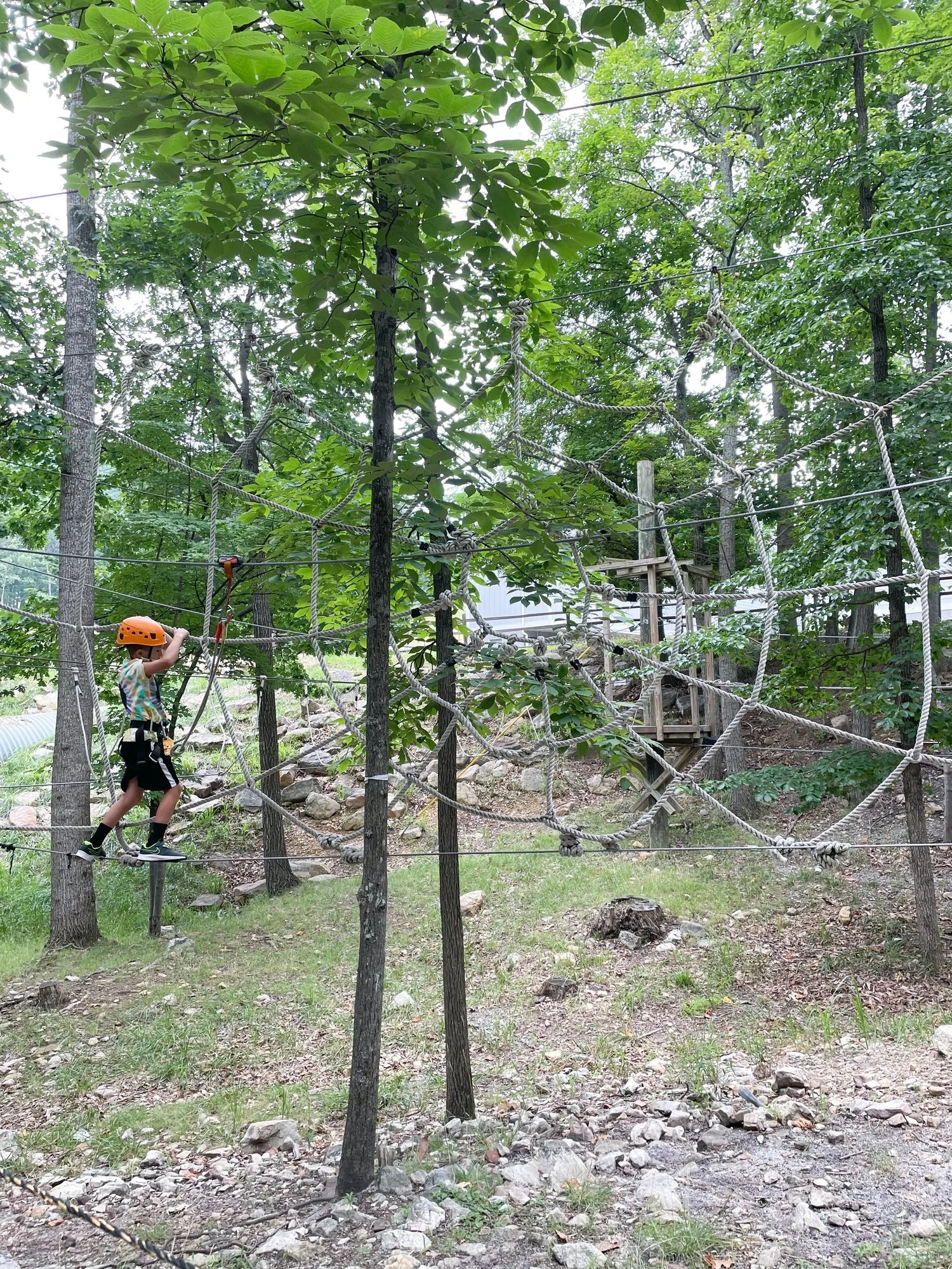 Massanutten Resort Family Adventure Park Activities to Do — Virginia ...