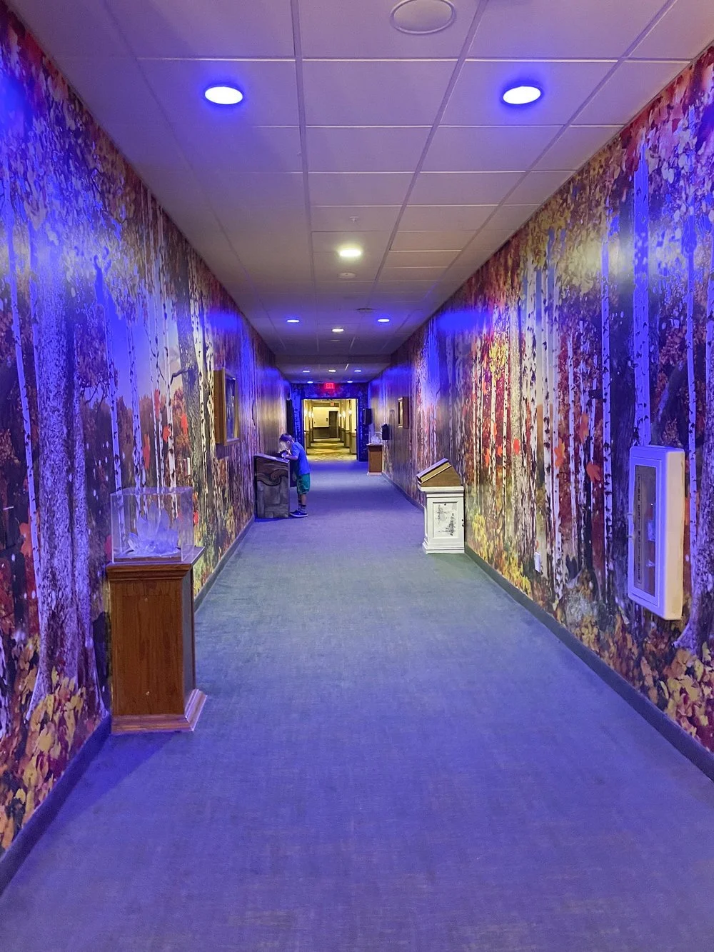 Magiquest Great Wolf Lodge Review — Virginia Family Fun