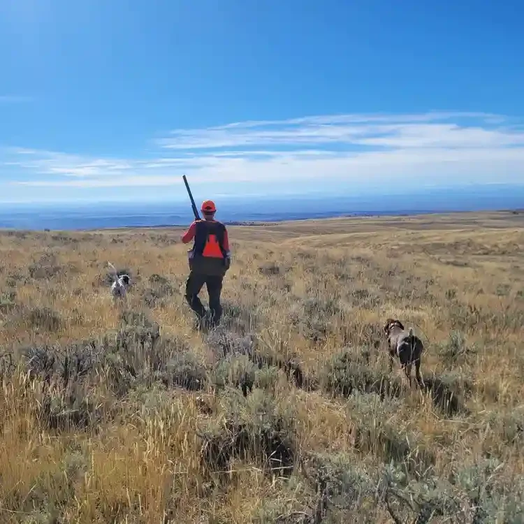 wyoming-chukar-hunting.webp