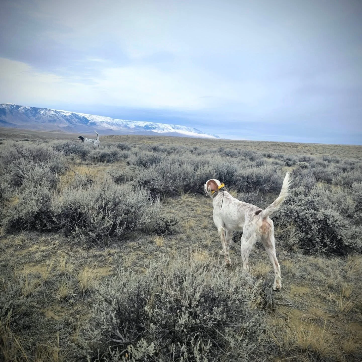 Last week of the season. Who's going out??