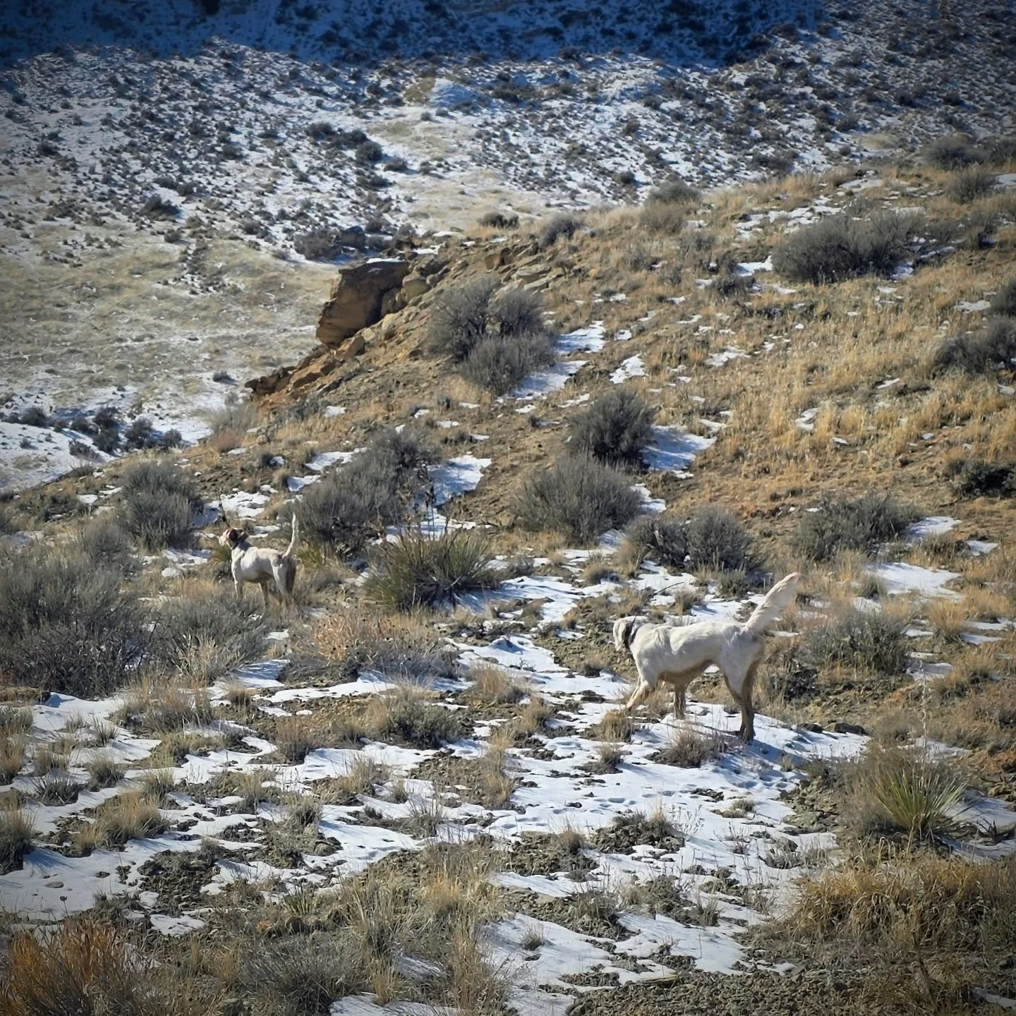 Great conditions made for an epic day 👏 😎