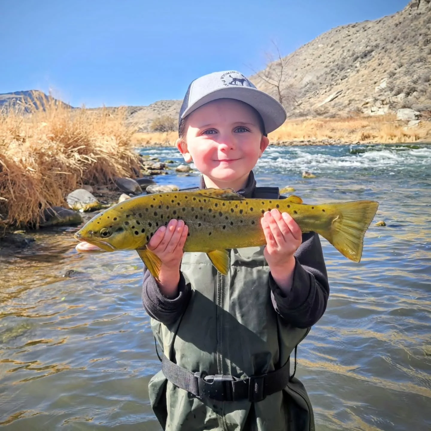 4 year old Ryker getting it done on the fly!!! 🎣💪