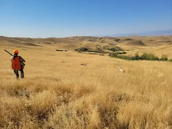 wy-wingshooting.webp