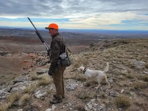 bird-hunting-yellowstone.webp