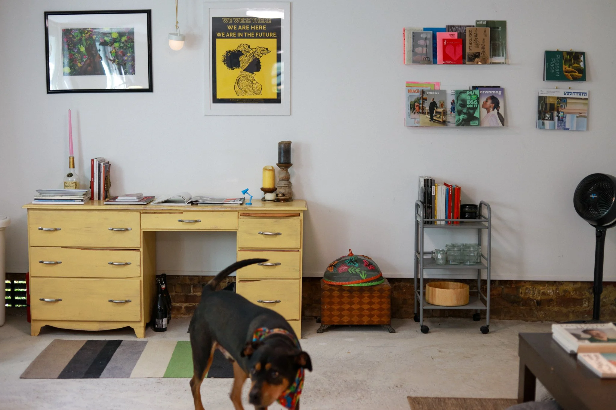 Room for Reading_Magazines in space with dog.jpg