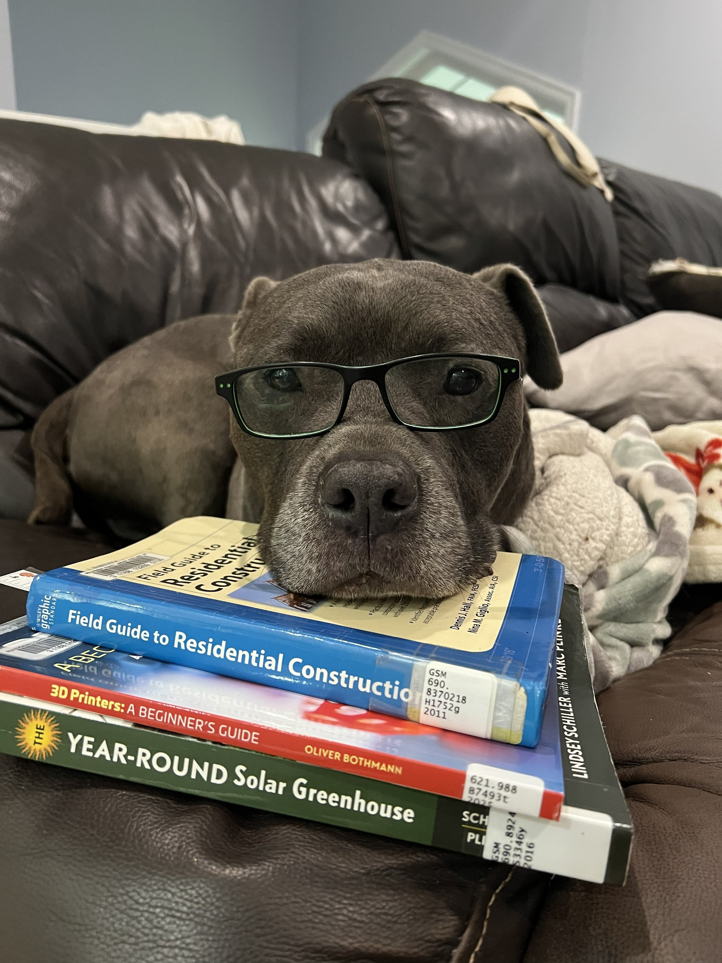 A dog wearing glasses resting its head on a stack of books about construction, gardening, and solar greenhouses on a leather couch.
