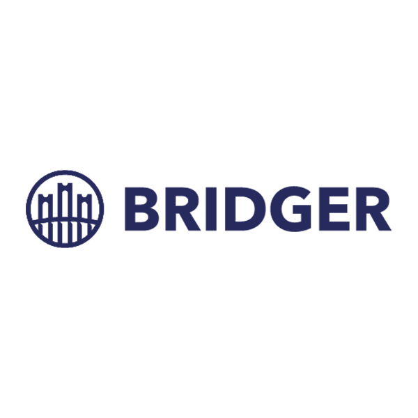Logos clientes 2024_bridger.png