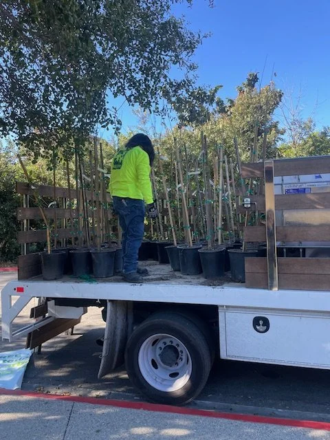 ELUC Affordable Housing Workshop with Northeast Trees