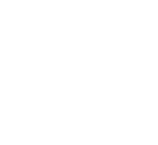 Executive-level partnership
