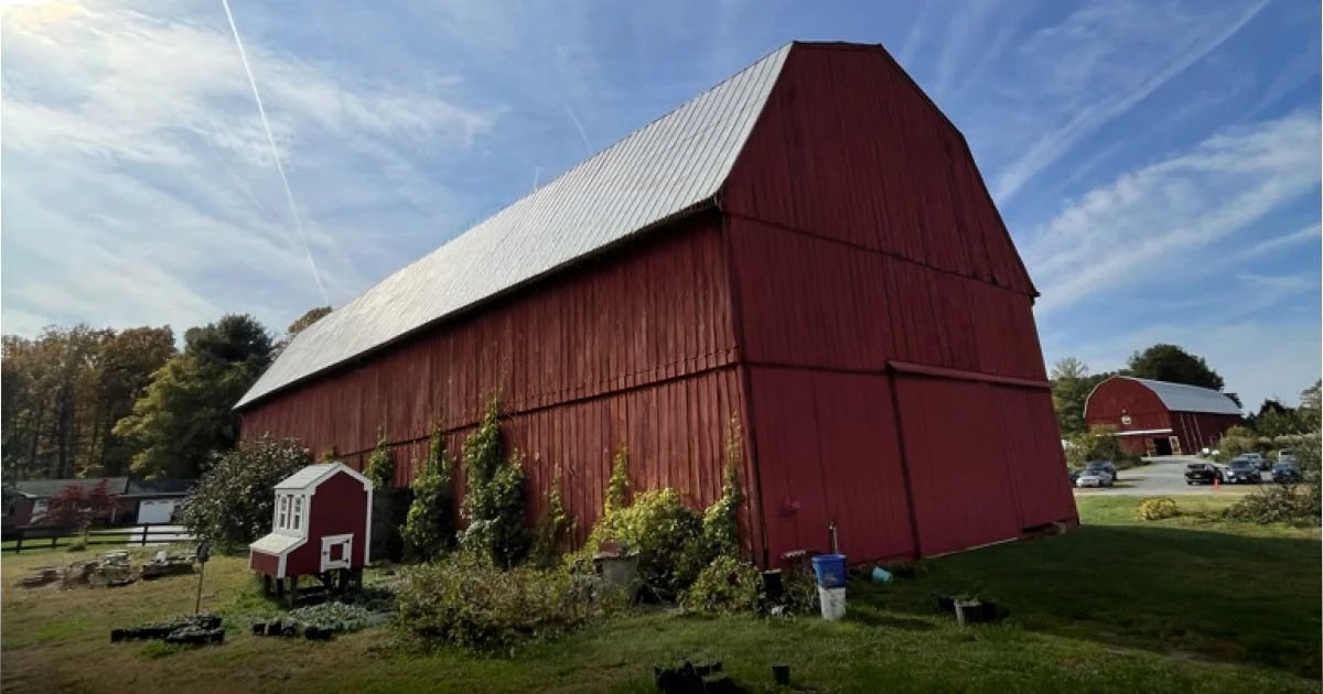 LMD Down on the Farm!