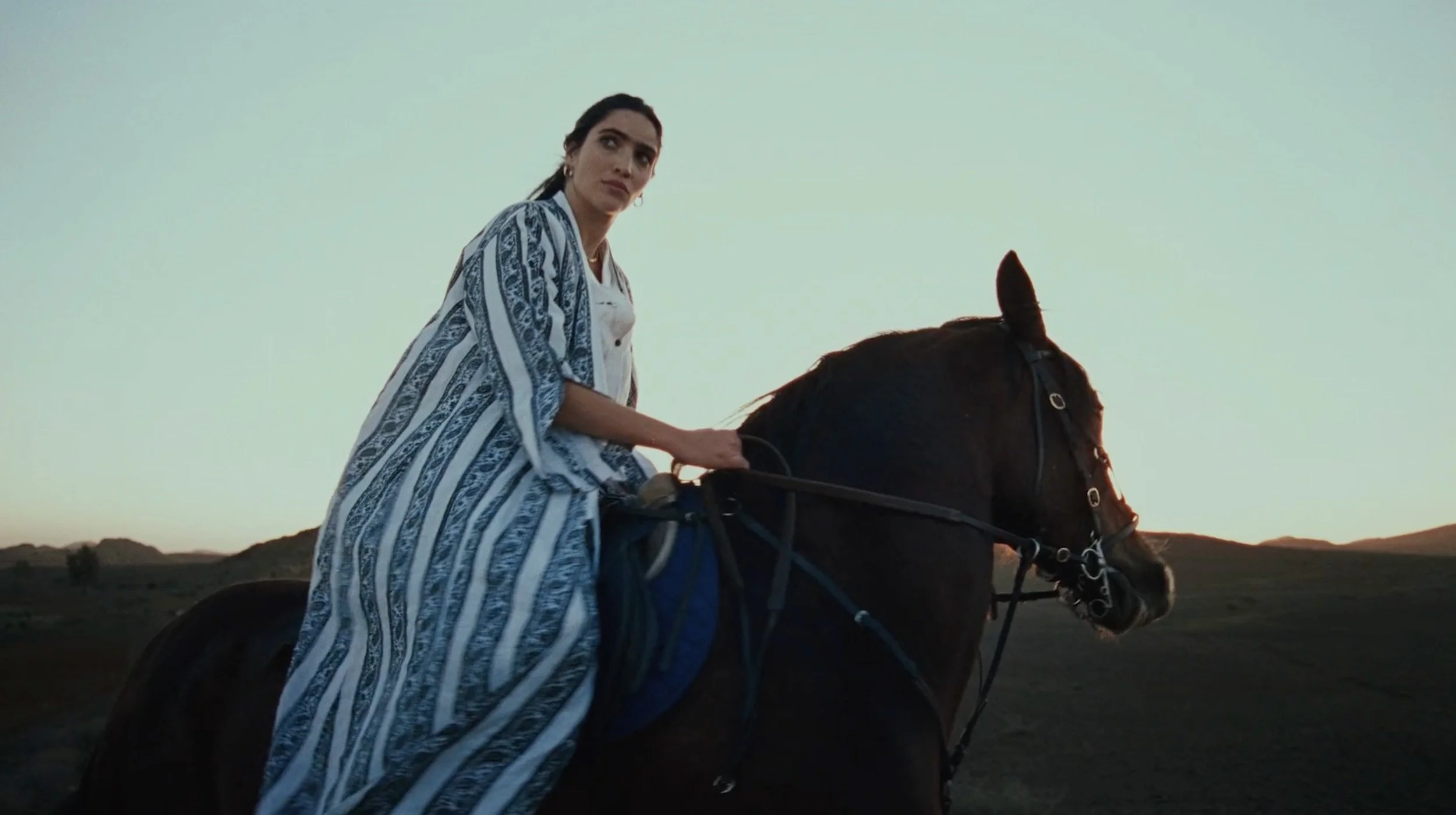 PAIRI DAEZA
"IRANEMAN"
music composition and sound design