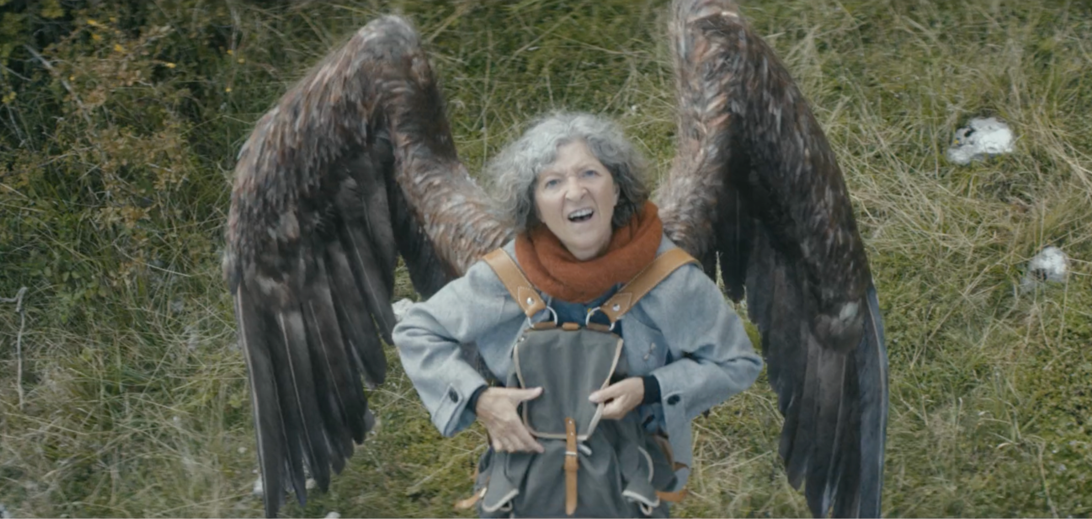 WINGS (Director: Martin de Thurah)