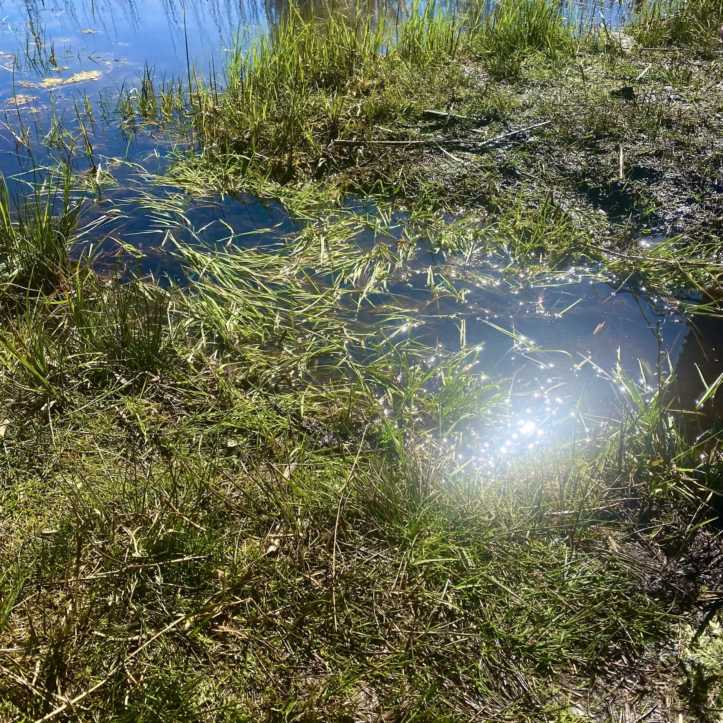 Lasse Martinussen "Recovering"