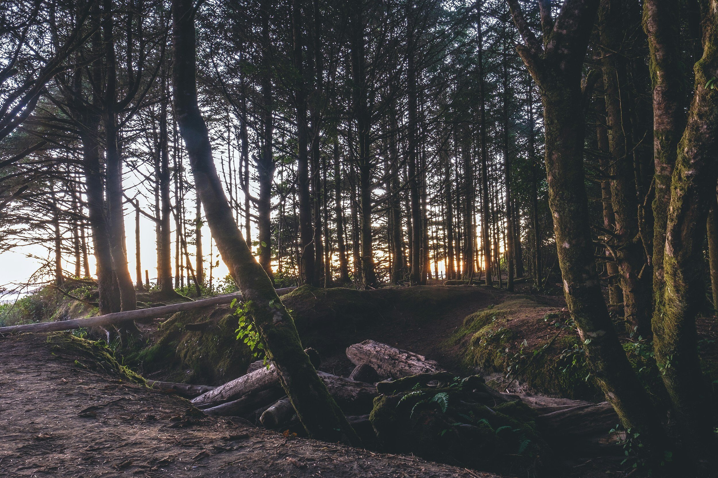 Nature, Wound Healing, and Resilience