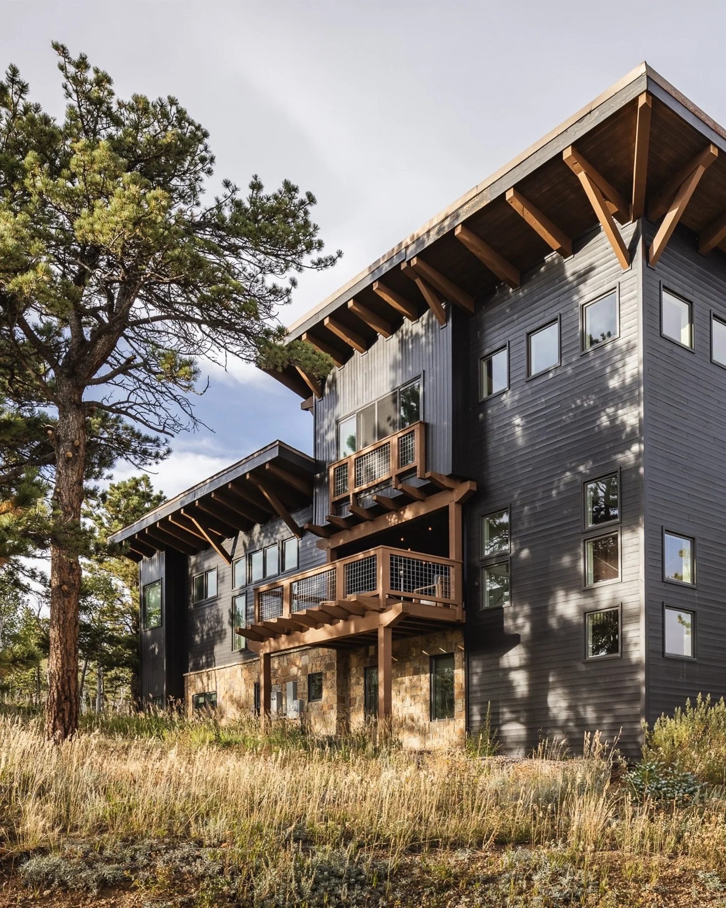 Architectural tree pose 🌲

#bouldercolorado #boulderlife #coloradoliving #coloradohomes #coloradoarchitecture #boulderco #boulderlifestyle #mountainhome #interiorphotography #interiorphotographer