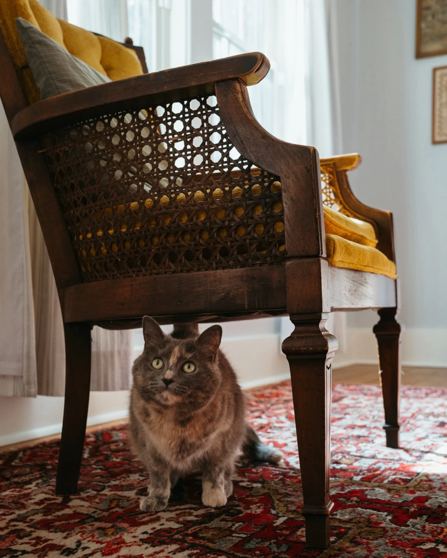 Places I&rsquo;d rather be than Mondaying, Vol VII. Following these little two- and four-legged friends to where the magic is ✨

Ok, ok, last of my love notes from a visit with an old friend that filled my cup 💛