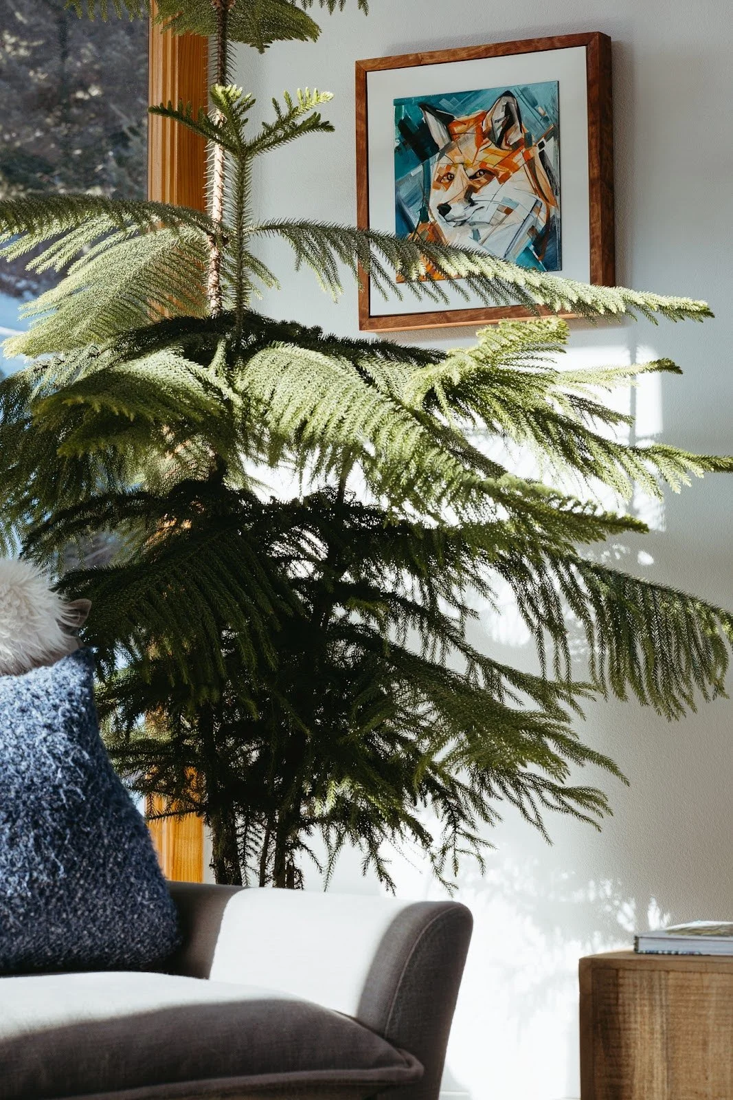 Interior detail with large indoor plant and framed artwork on wall, highlighting natural light and thoughtful home styling