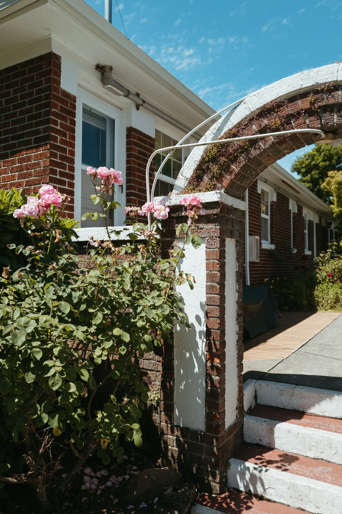 nobhill-3.jpg