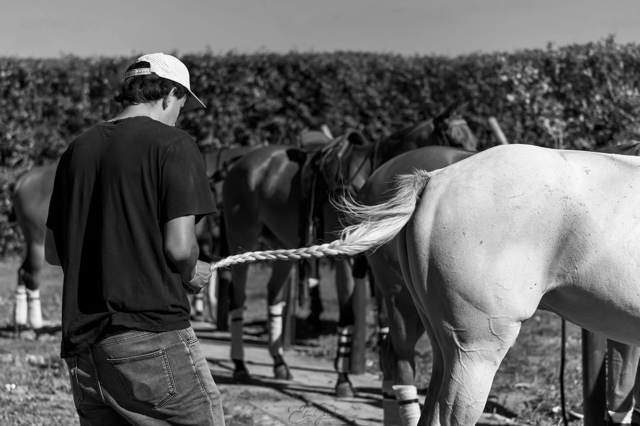 Chantilly polo trenzado cola caballo - Elisa Garcia Photography