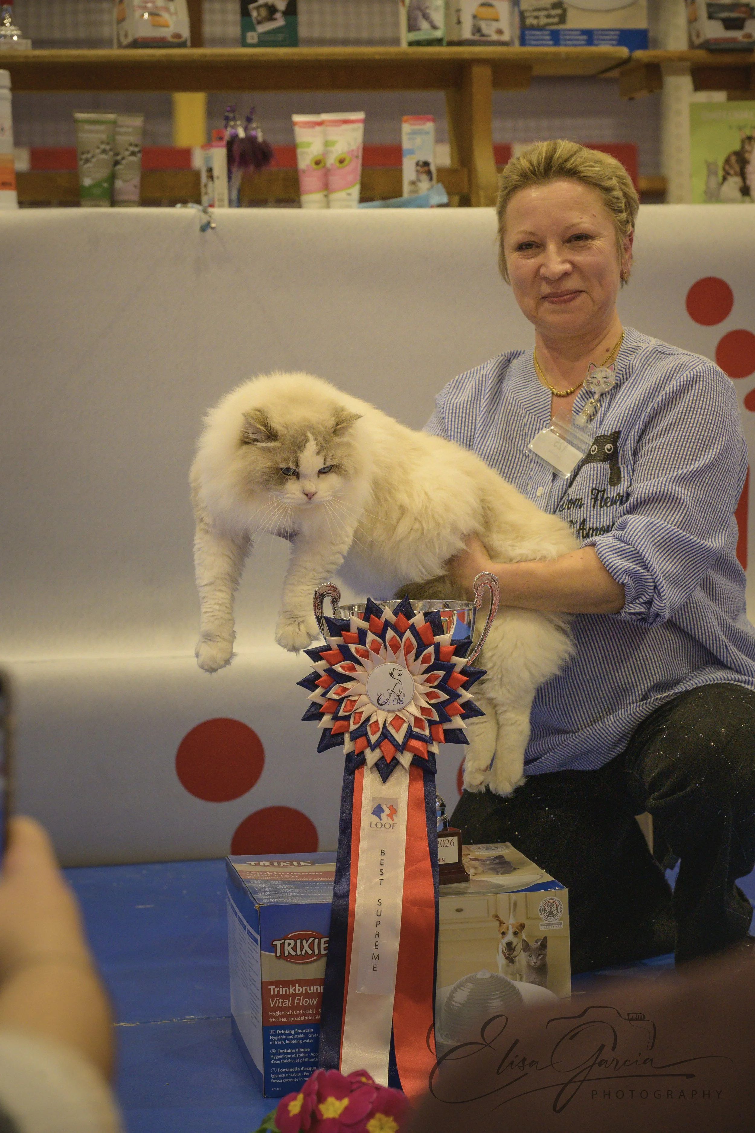 Elisa Garcia Photography - Ragdoll best in  show exposition féline Normandie.jpg