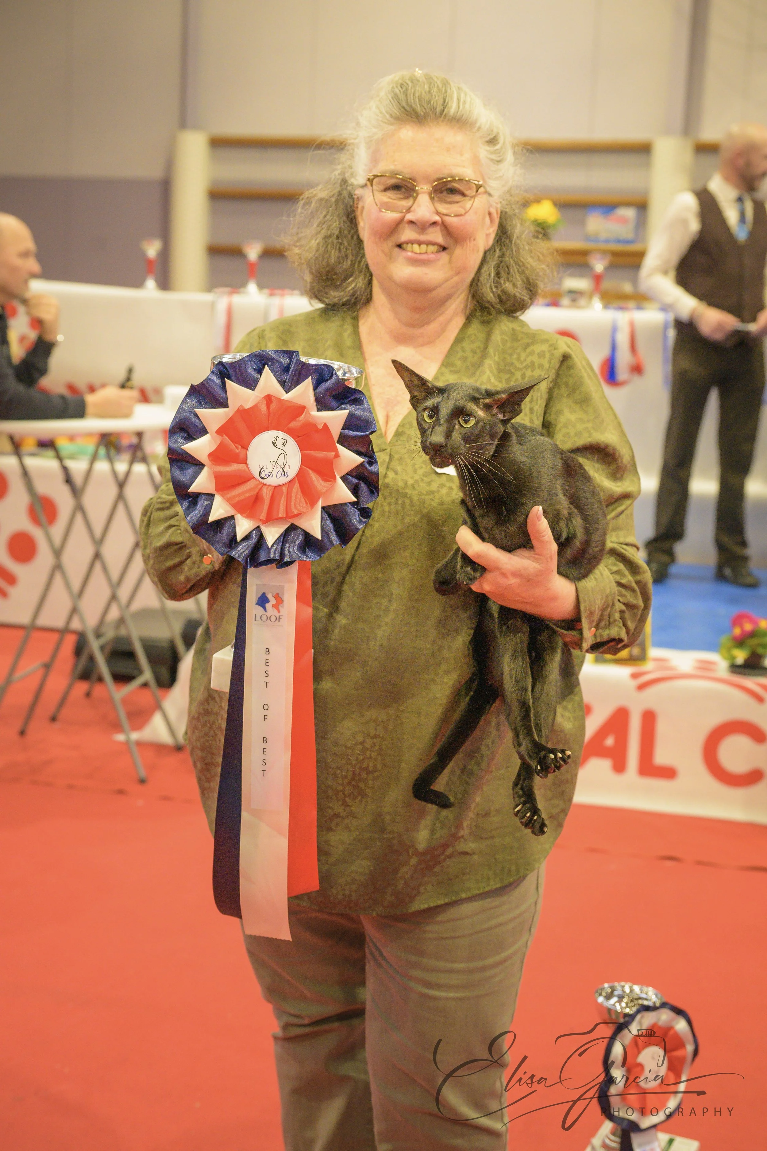 Elisa Garcia Photography - Abyssin best in show exposition féline Normandie.jpg