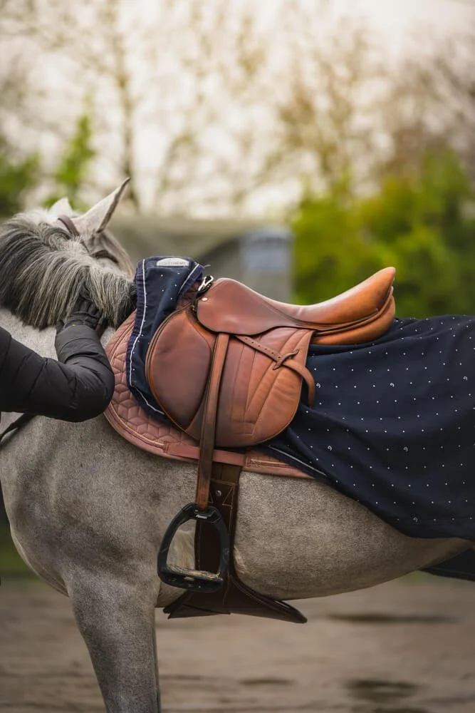 Elisa Garcia Photography - Image de détail selle cheval entraînement CSO.jpg