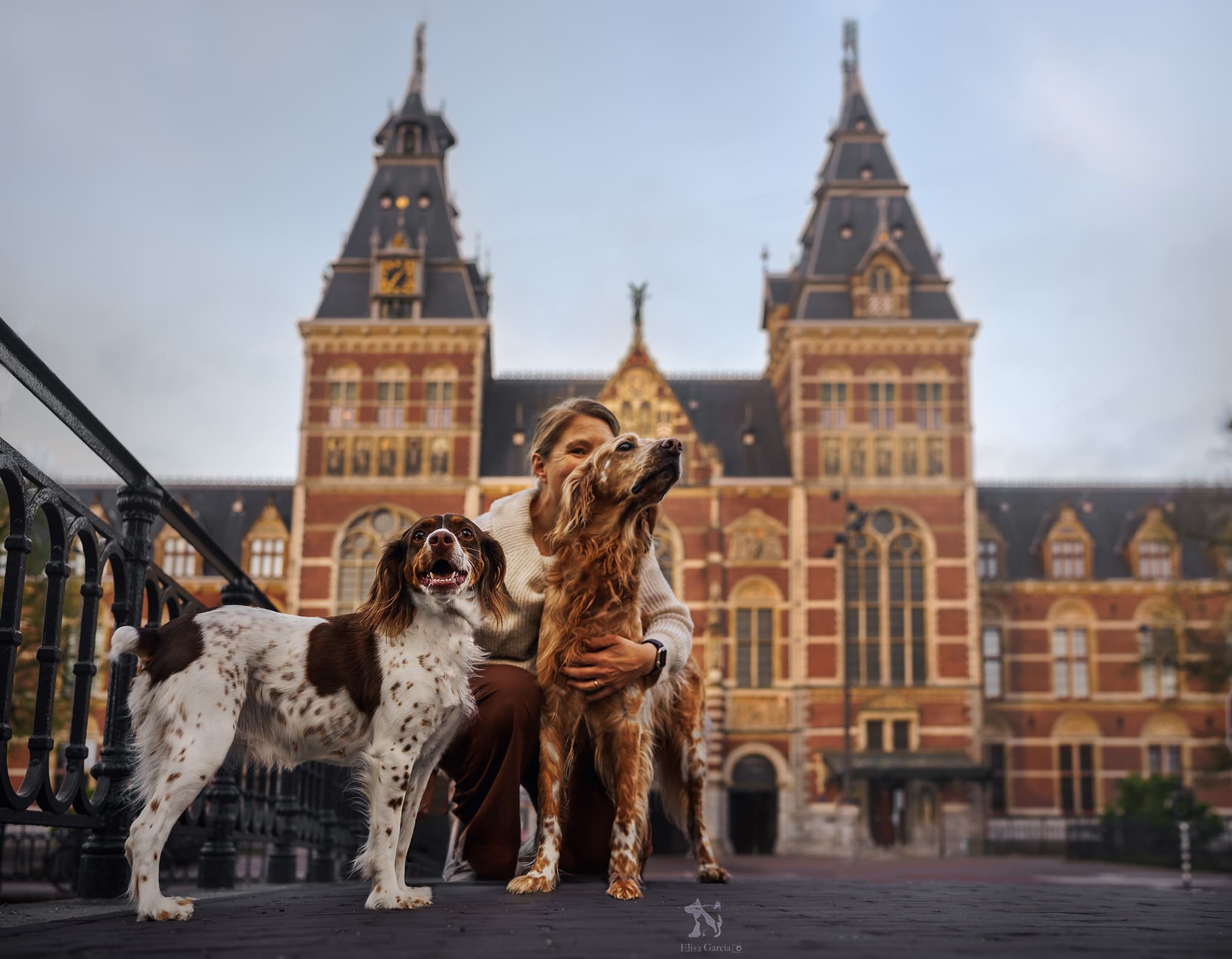 DSC05330-Edit Amsterdam shooting urbain english setter et chien de chasse.jpg