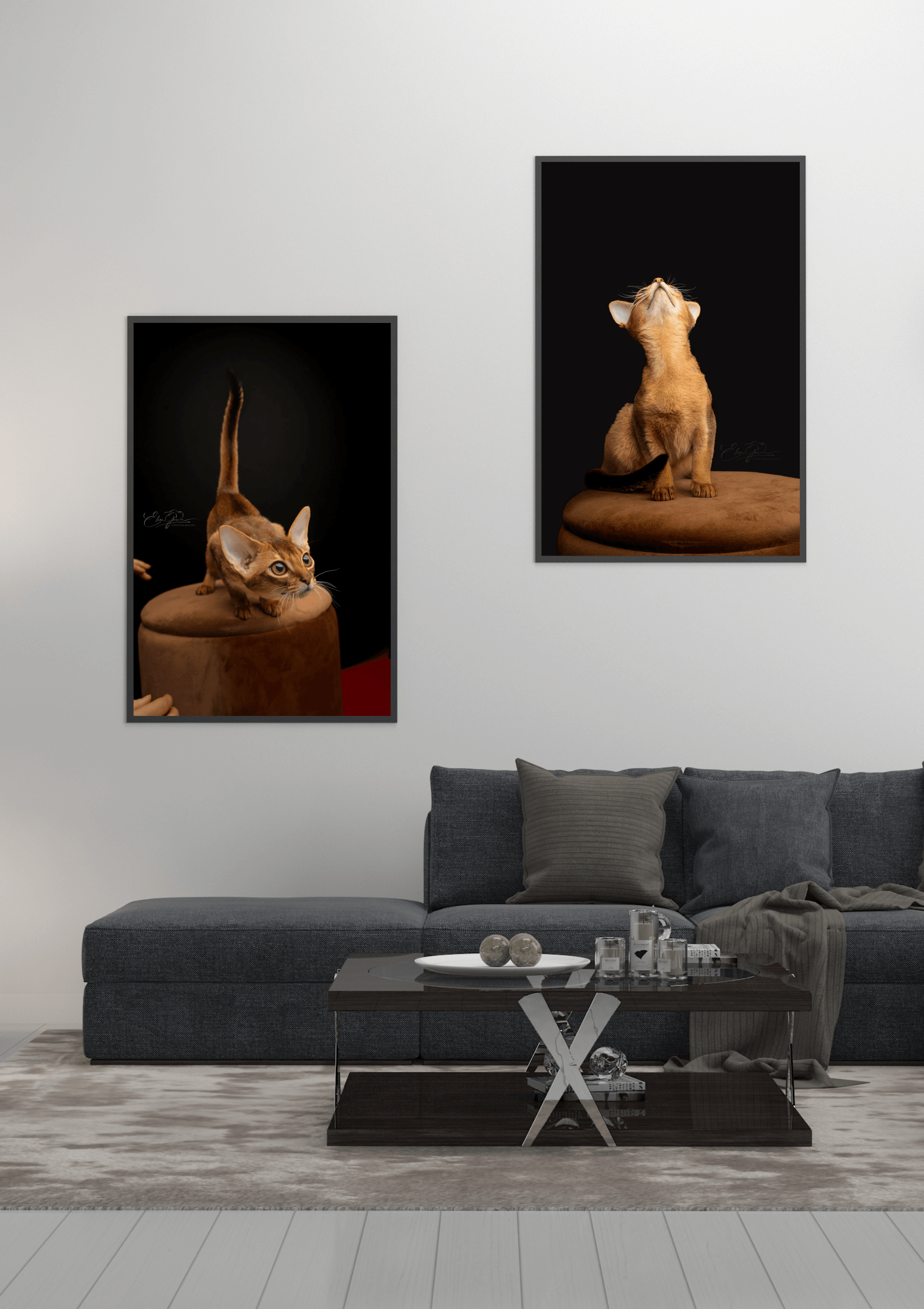 La Collection Expérience