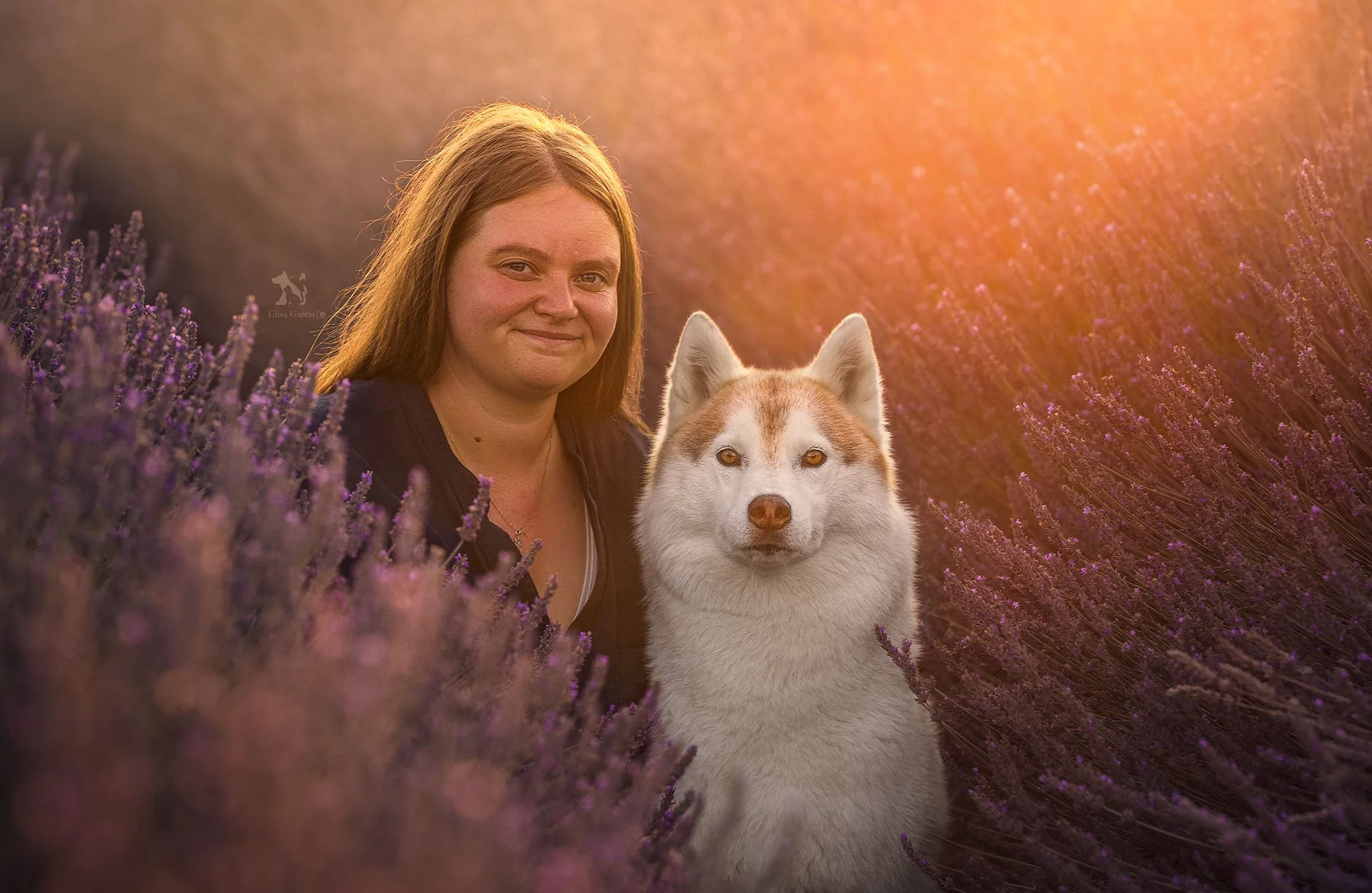 Elisa Garcia husky fleurs cérisier