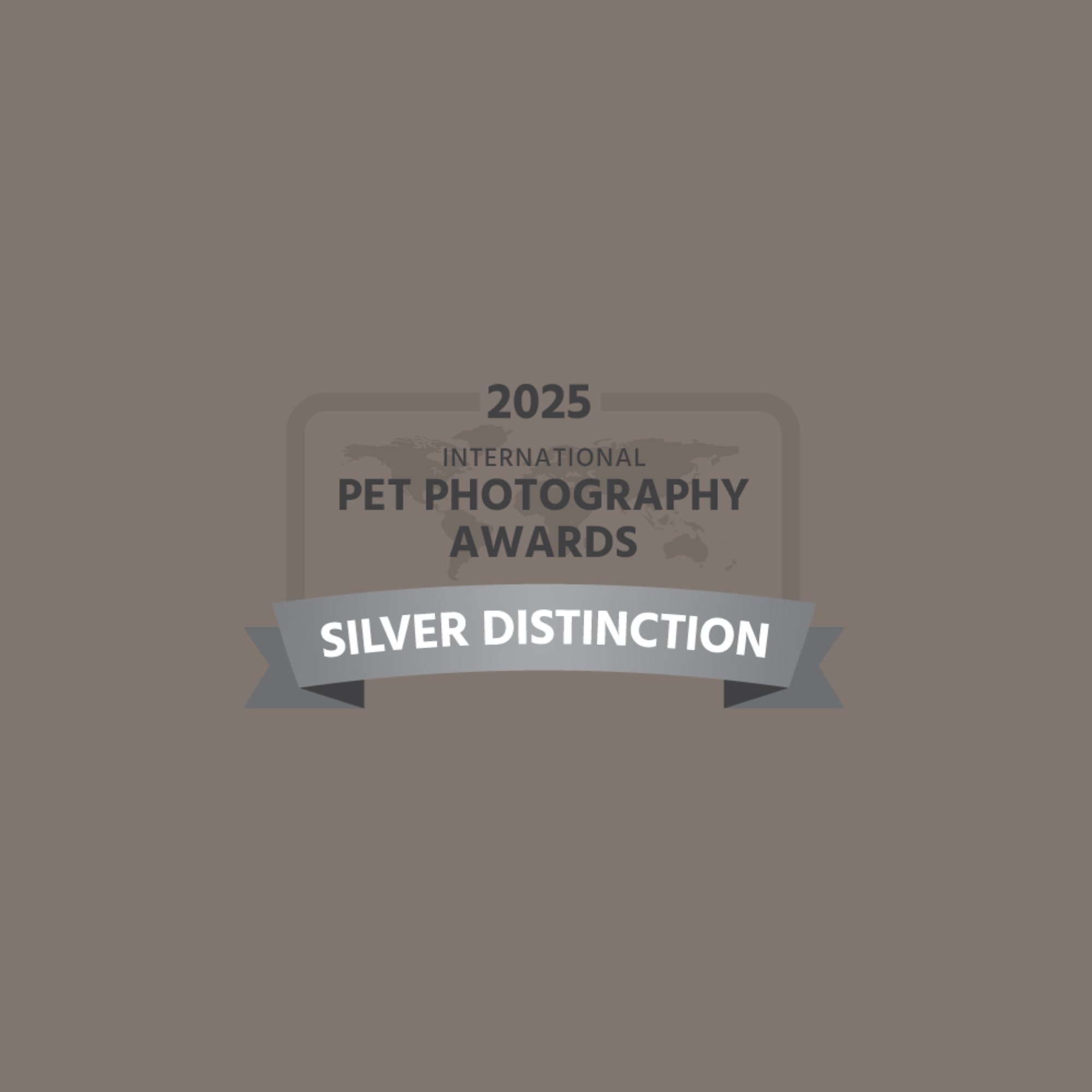 2025 concours international de photographie animalière - distinction argent (entre argent & or)