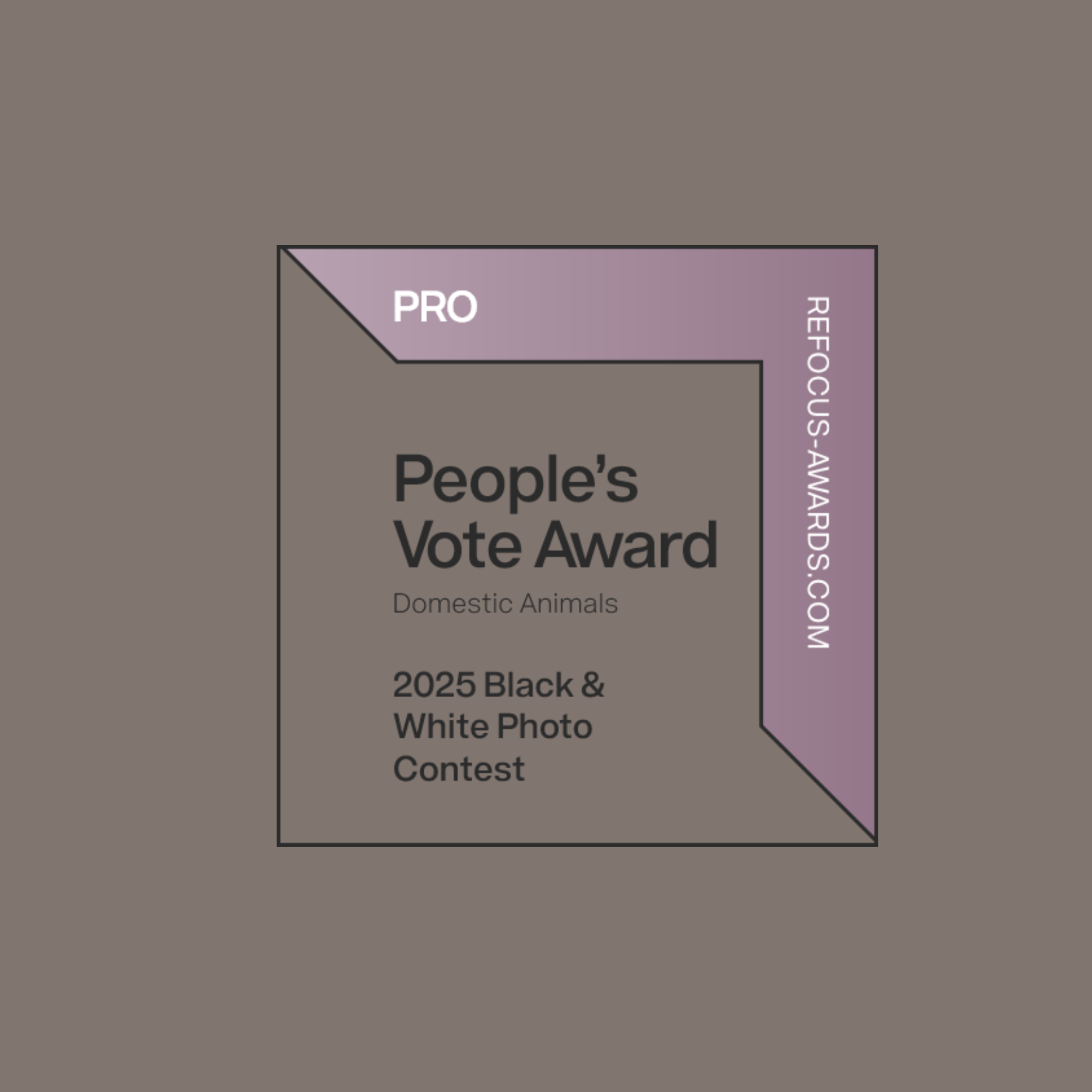 2025 Vote du public concours photographie N&B