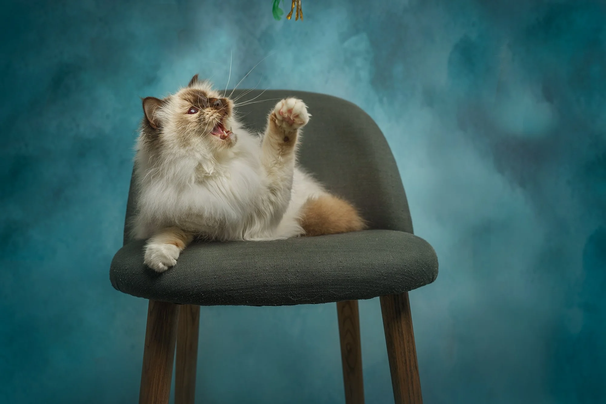 DSC07012-Edit web.JPG