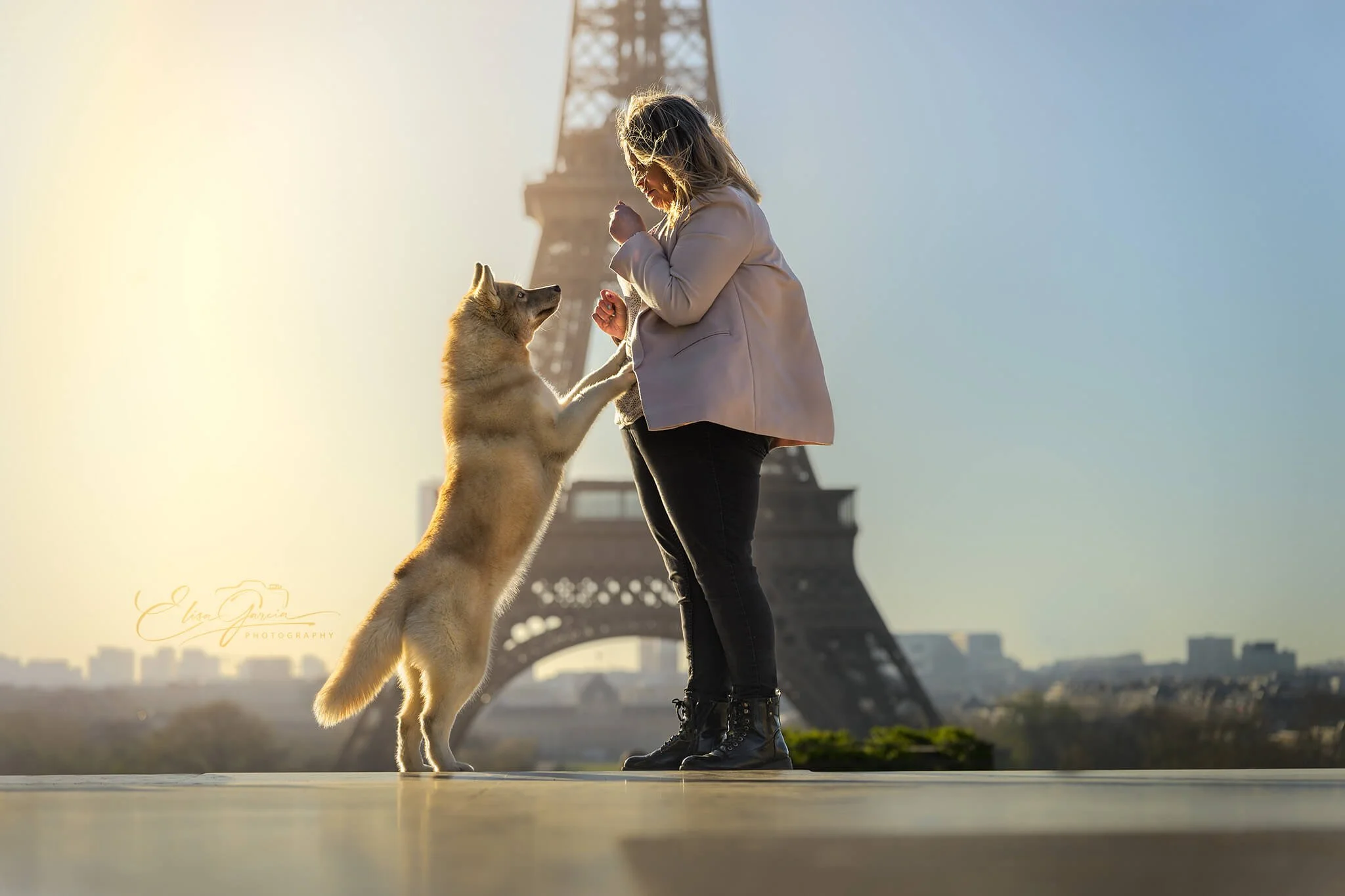 Paris Trocadéro husky shooting photo animalier Elisa Garcia Photography
