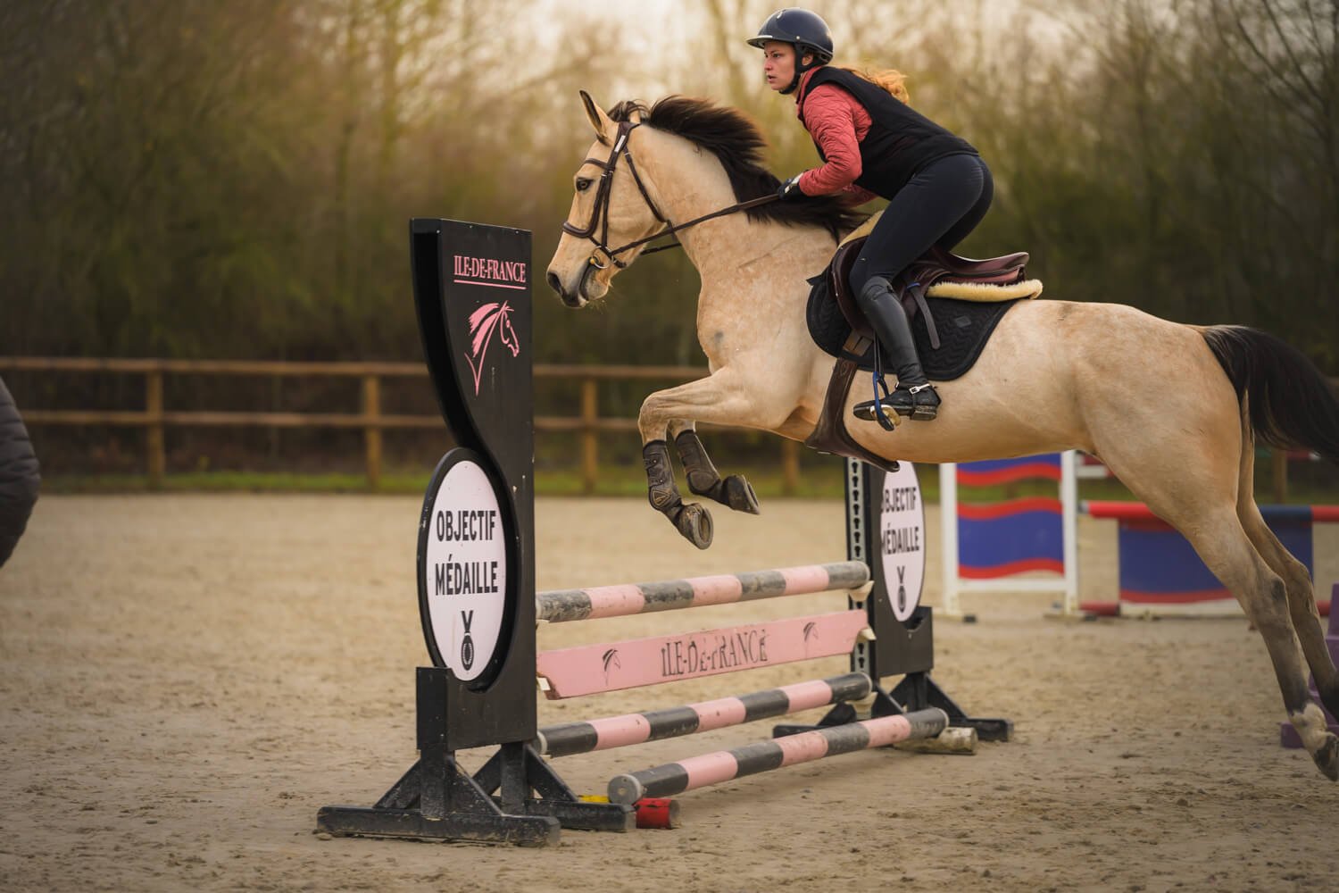 Elisa Garcia Photography entraînement saut d'obstacles cheval Centre val de seine isabelin.jpg