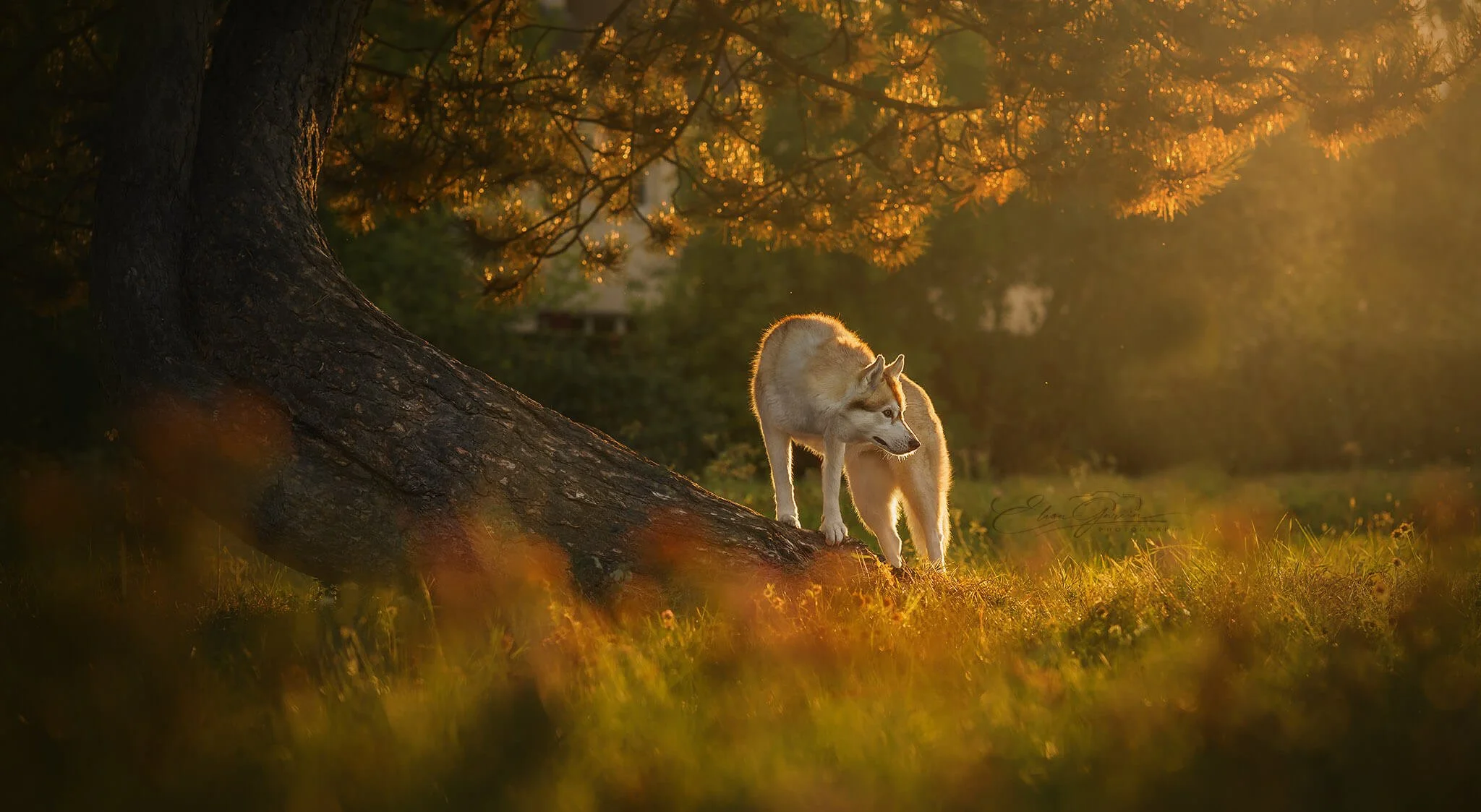 DSC09263-Edit web_website.jpg