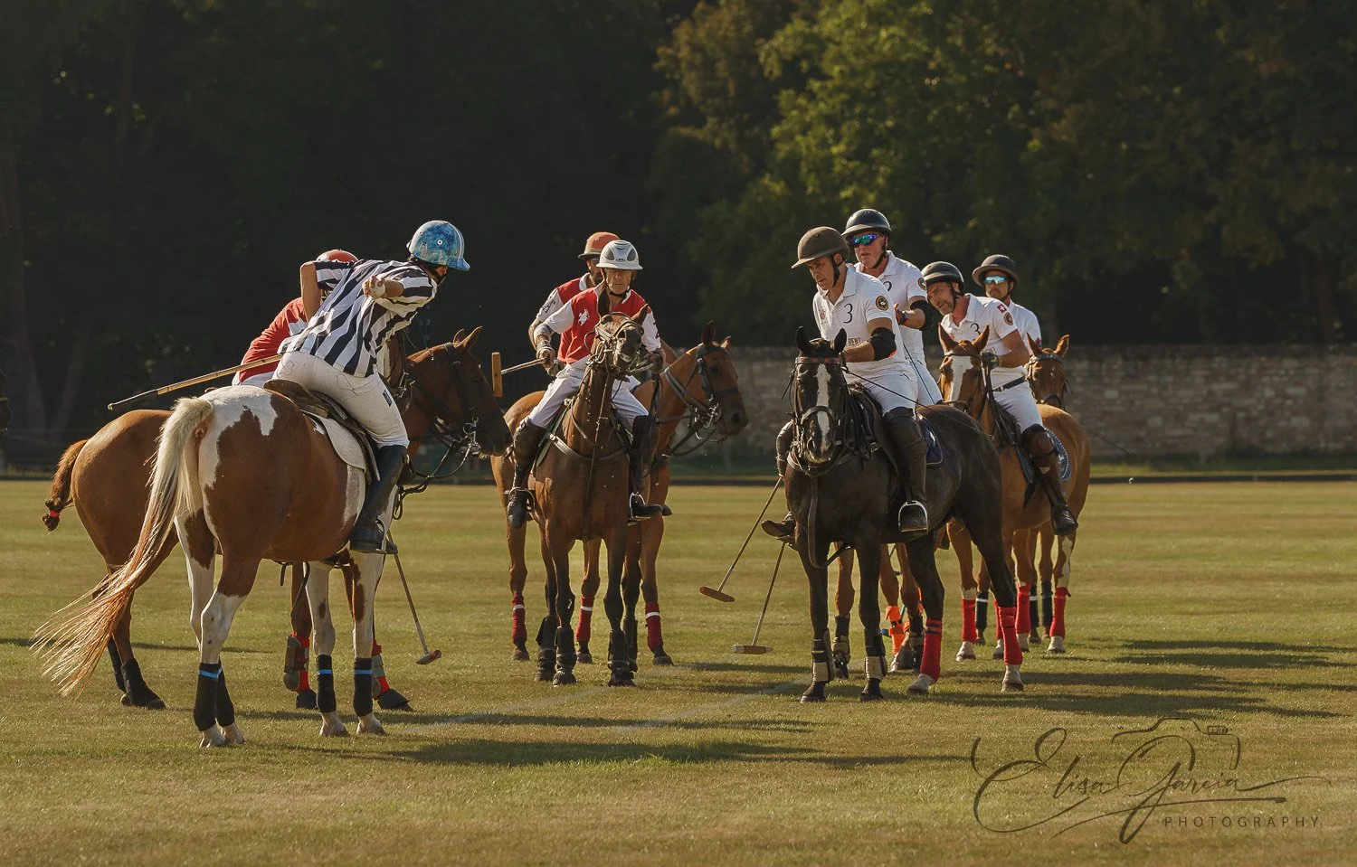 Début de chukka lancement balle polo domaine de courances chevaux - Elisa Garcia Photography
