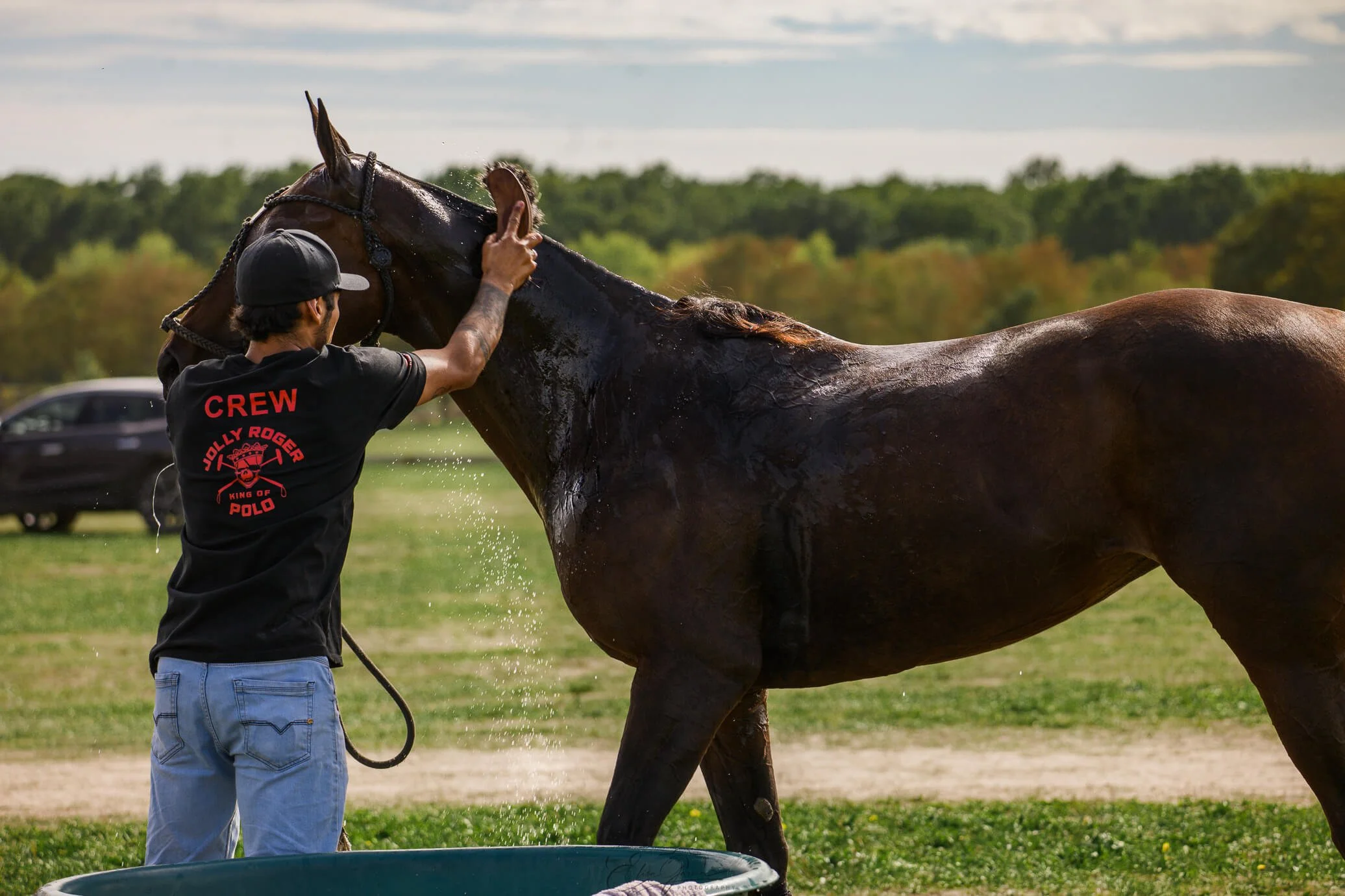 Polo Chantilly refrescando al poney después de un chukker - Elisa Garcia Photography