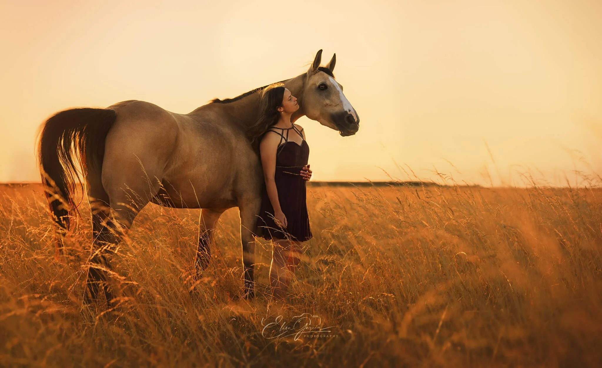 Paw Prints Photography - Shooting cheval Orvilliers Ile-de-France