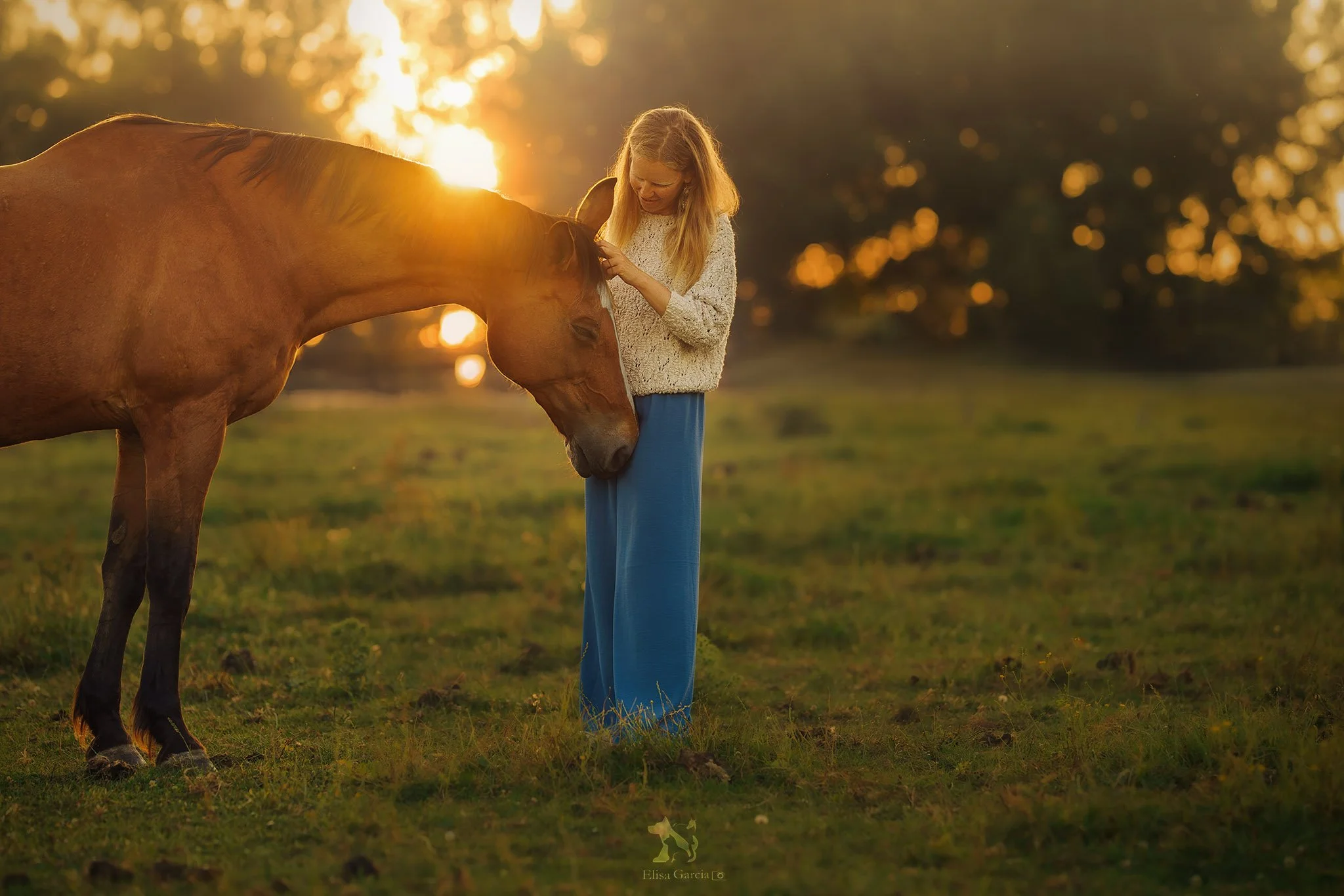 DSC06650-Edit web.jpg