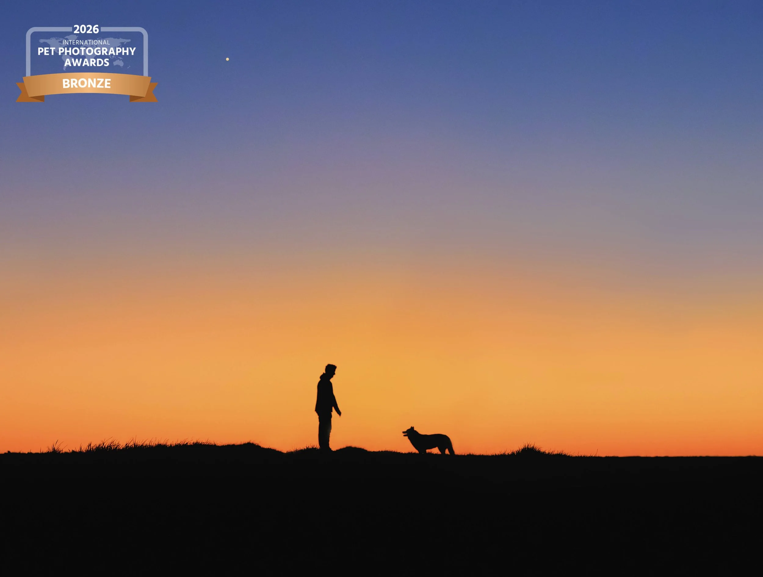 IPPA-2026-Bronze silhouette Elisa Garcia Photography concours photo.jpg