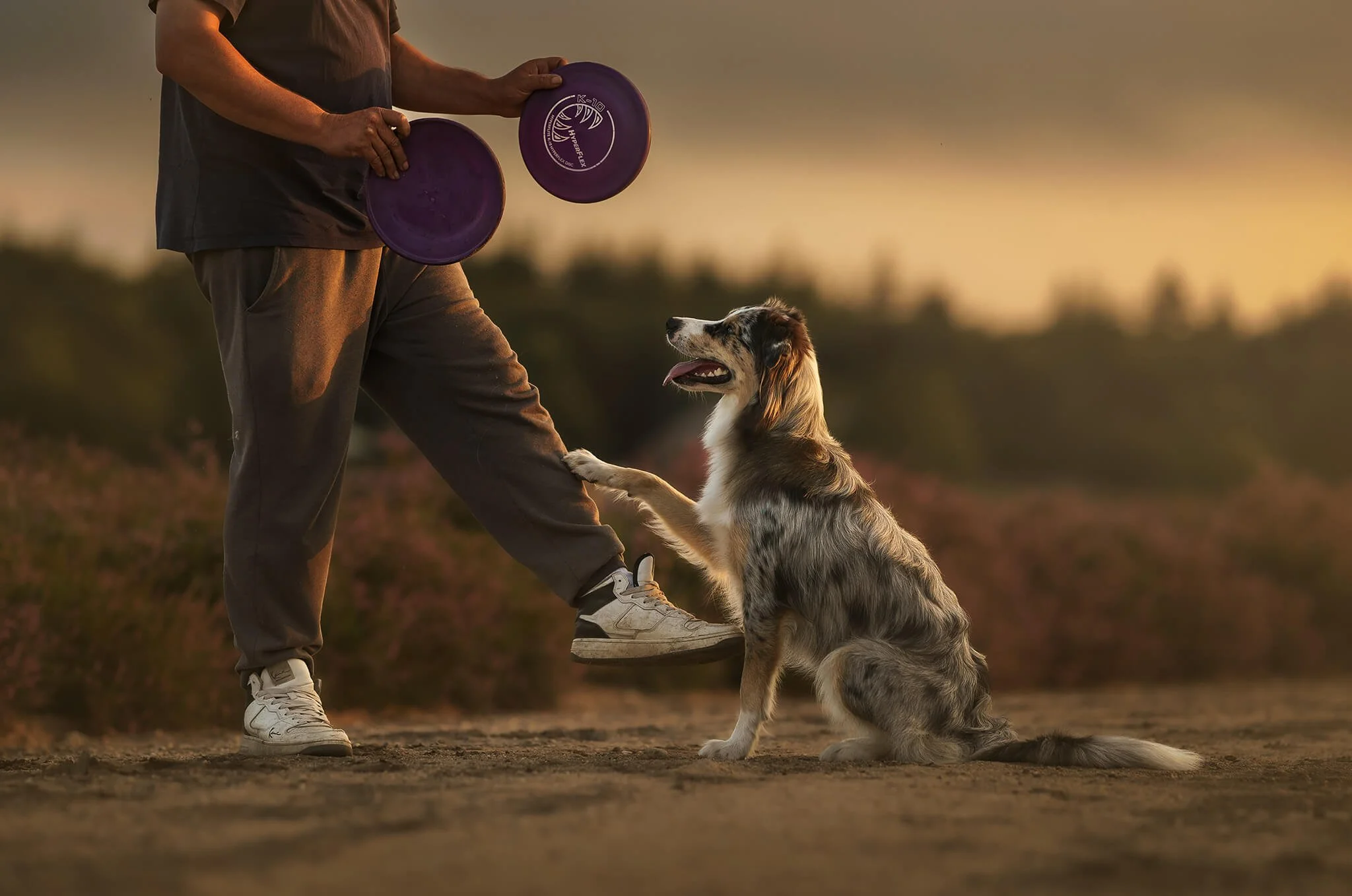 DSC05397-Edit @sibirmansworld_website.jpg