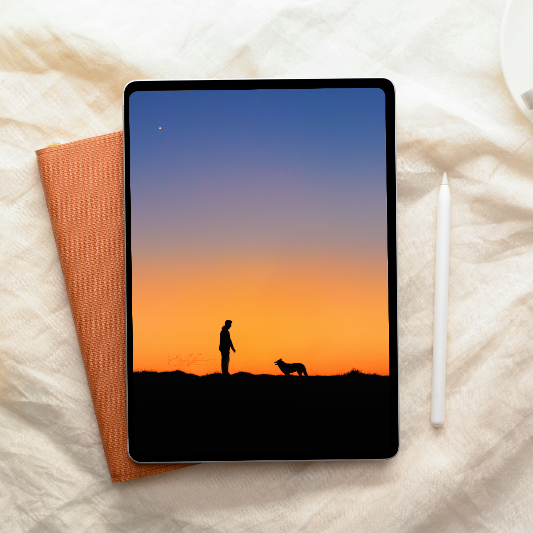 Elisa Garcia Photography - photos numériques coffret 