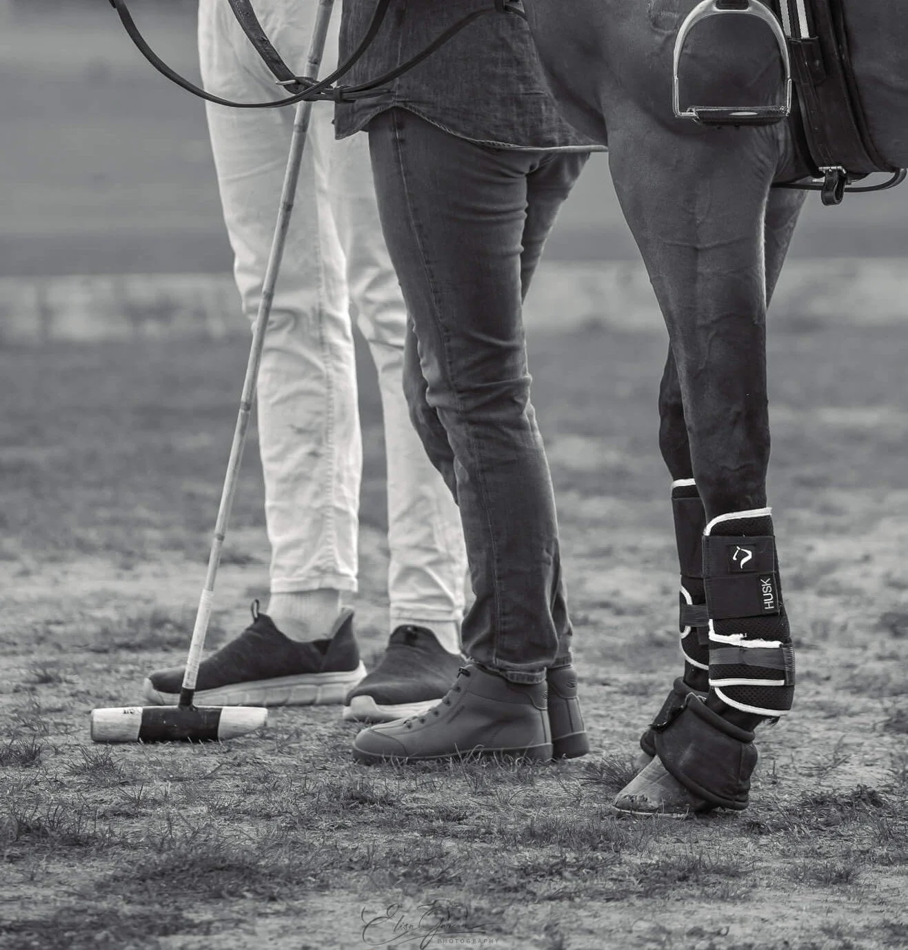 Blanco y negro esperando el cambio polo - Elisa Garcia Photography