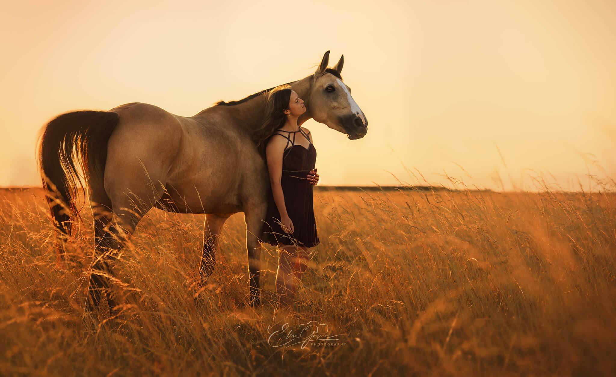Shooting cheval champs de blé Paris région parisienne Elisa Garcia Photography
